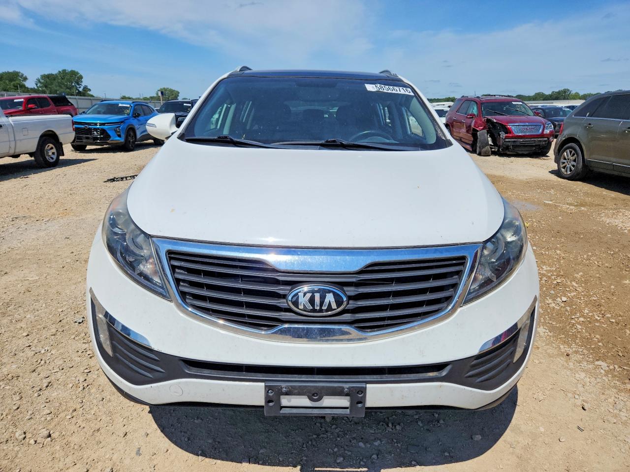 2013 Kia Sportage Ex Белый vin: KNDPC3A27D7515100