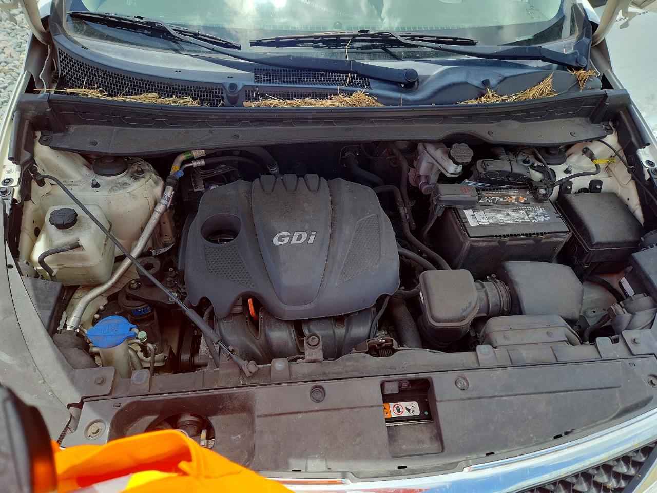 2015 Kia Sportage Ex Белый vin: KNDPC3AC4F7687466