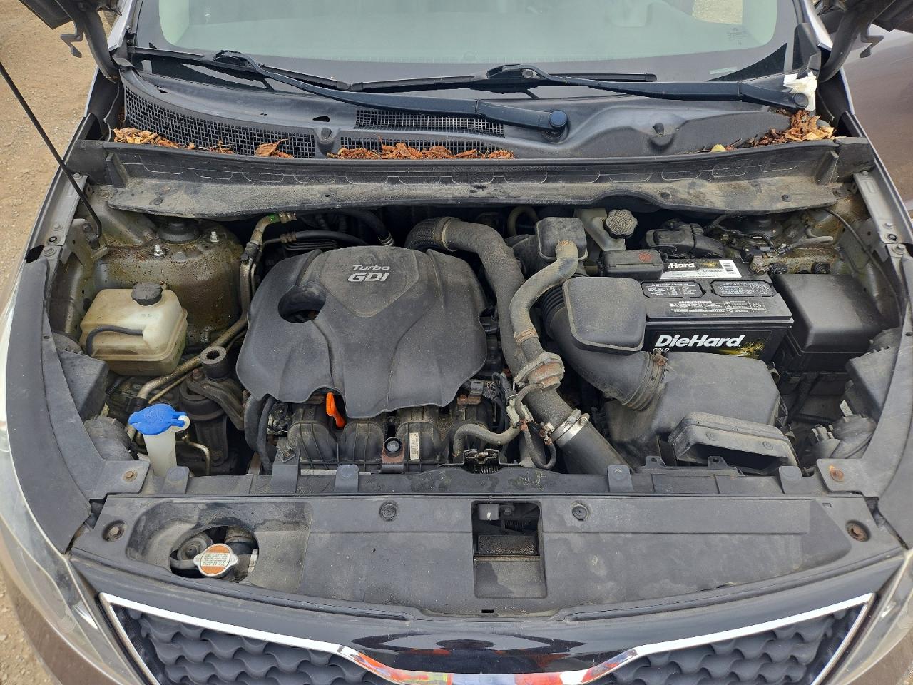 2011 Kia Sportage Ex Gray vin: KNDPCCA60B7113077