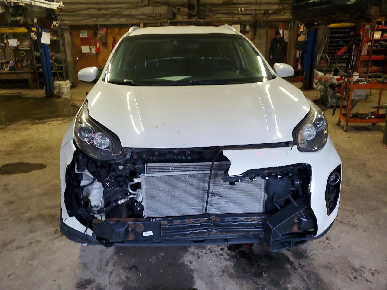 2019 Kia Sportage Gl(middle-low Grade) White vin: KNDPMCAC1K7532249