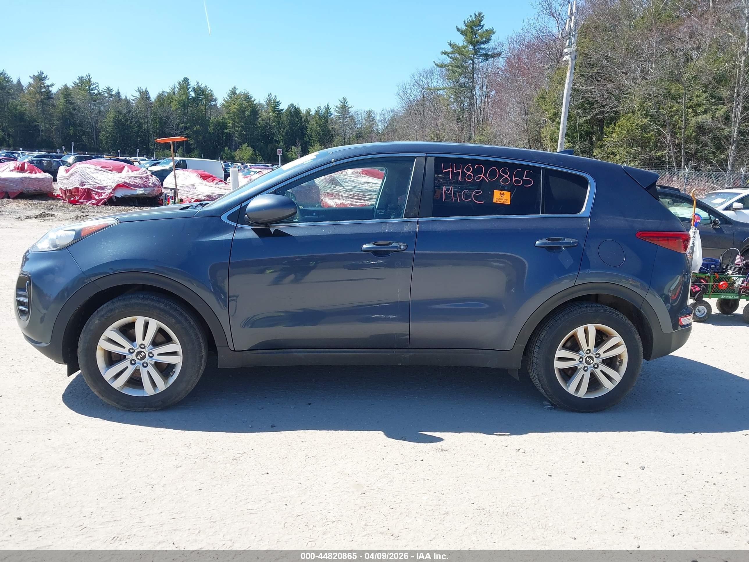 2018 Kia Sportage Lx Blue vin: KNDPMCAC6J7340405