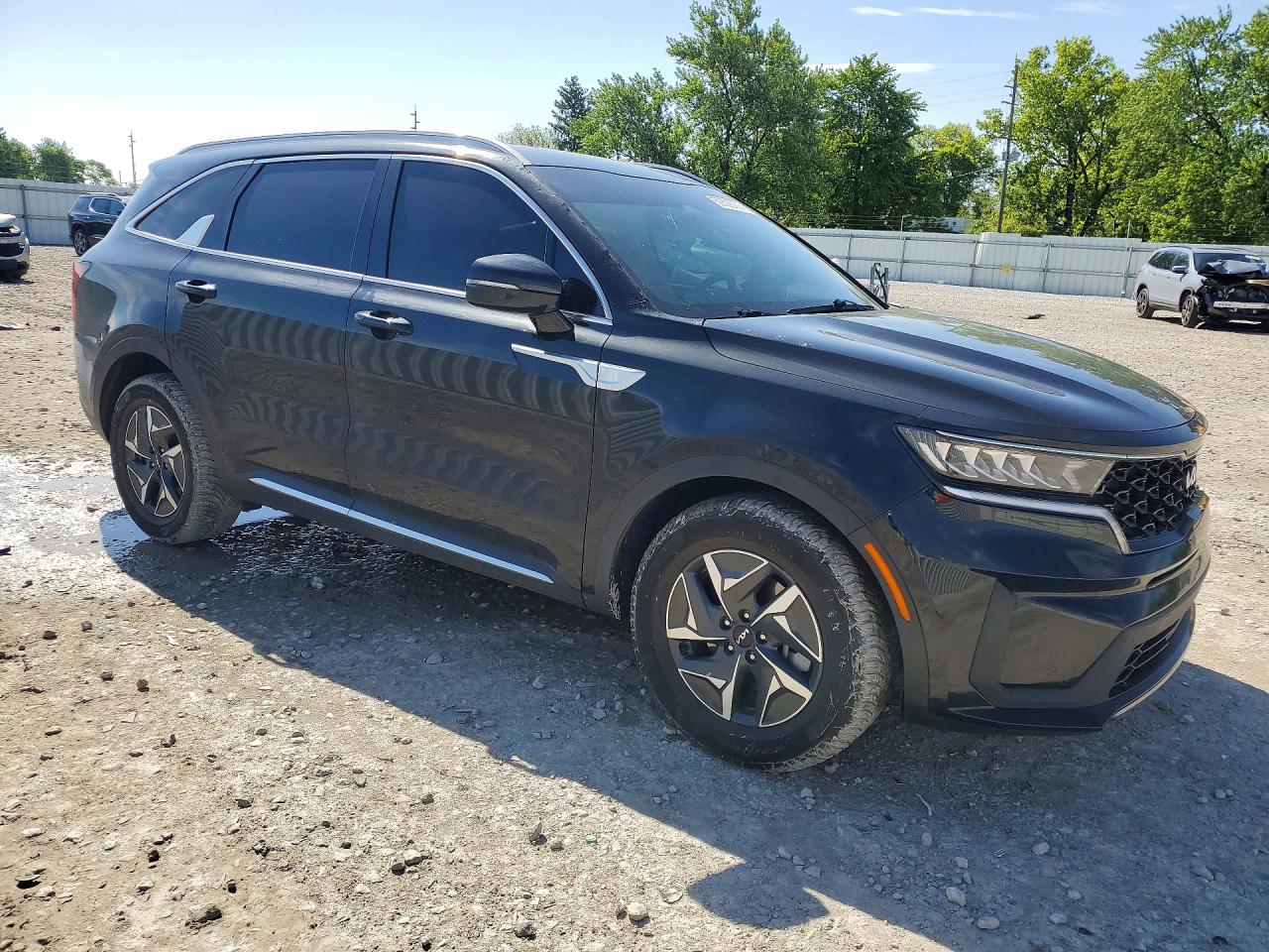 2022 Kia Sorento S Black vin: KNDRG4LG2N5089387