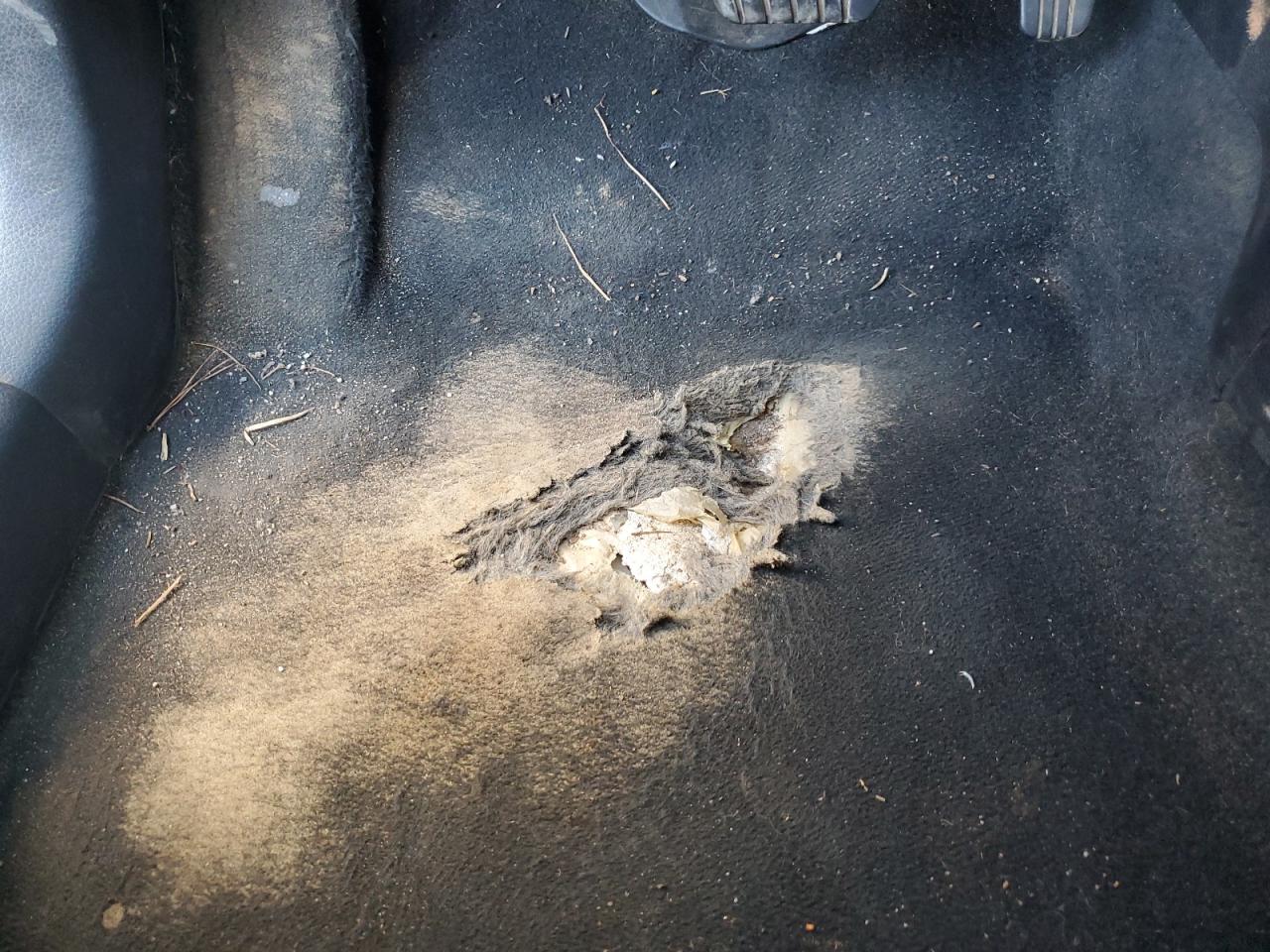 2015 Nissan Rogue Sv Серый vin: KNMAT2MTXFP507032 Damage: Left Front Carpet, Torn, > 12 Inches