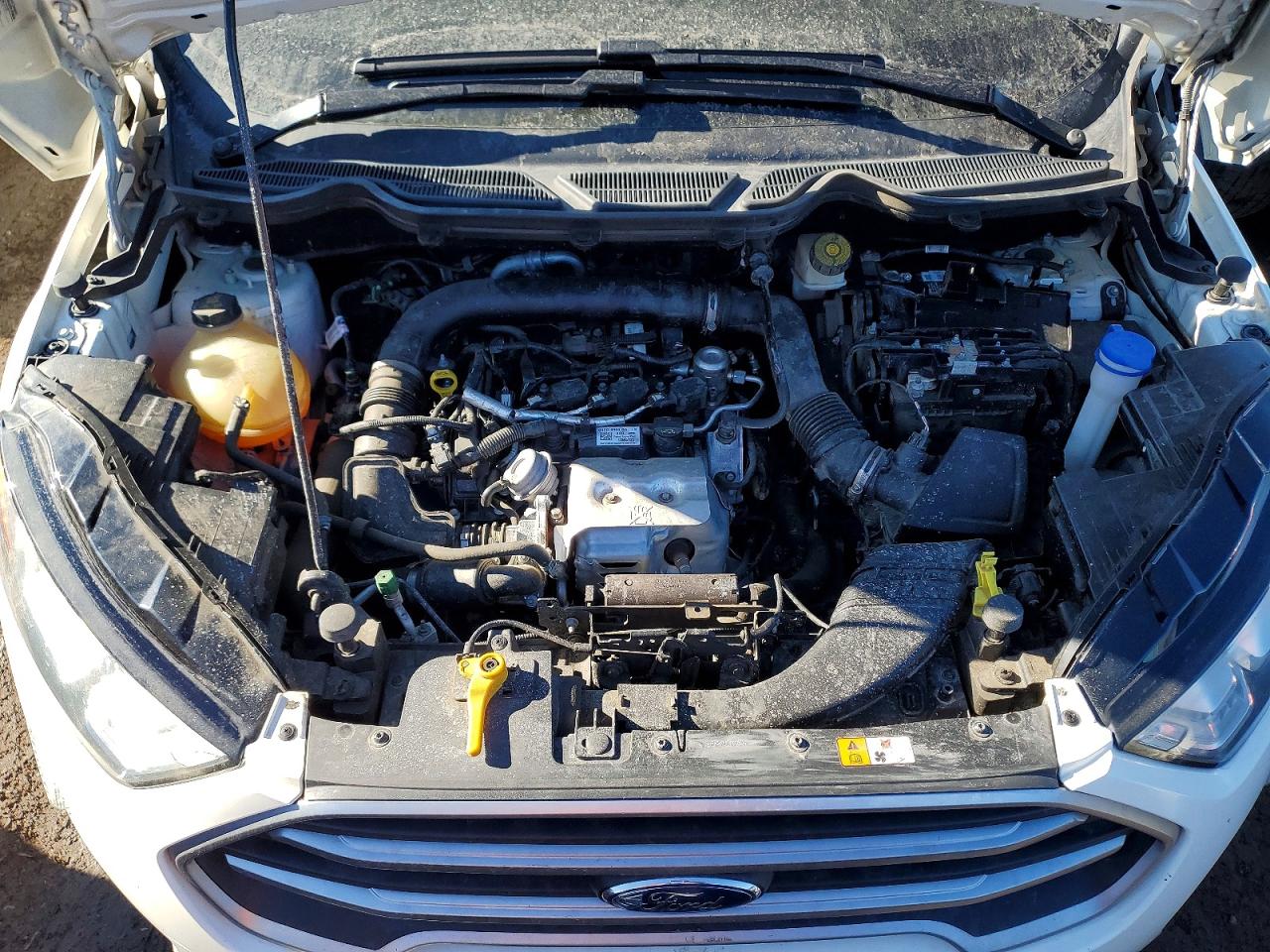 2019 Ford Ecosport Se White vin: MAJ3S2GE8KC266748