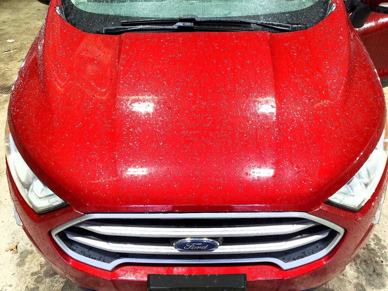 2019 Ford Ecosport Se Красный vin: MAJ6S3GL8KC260059