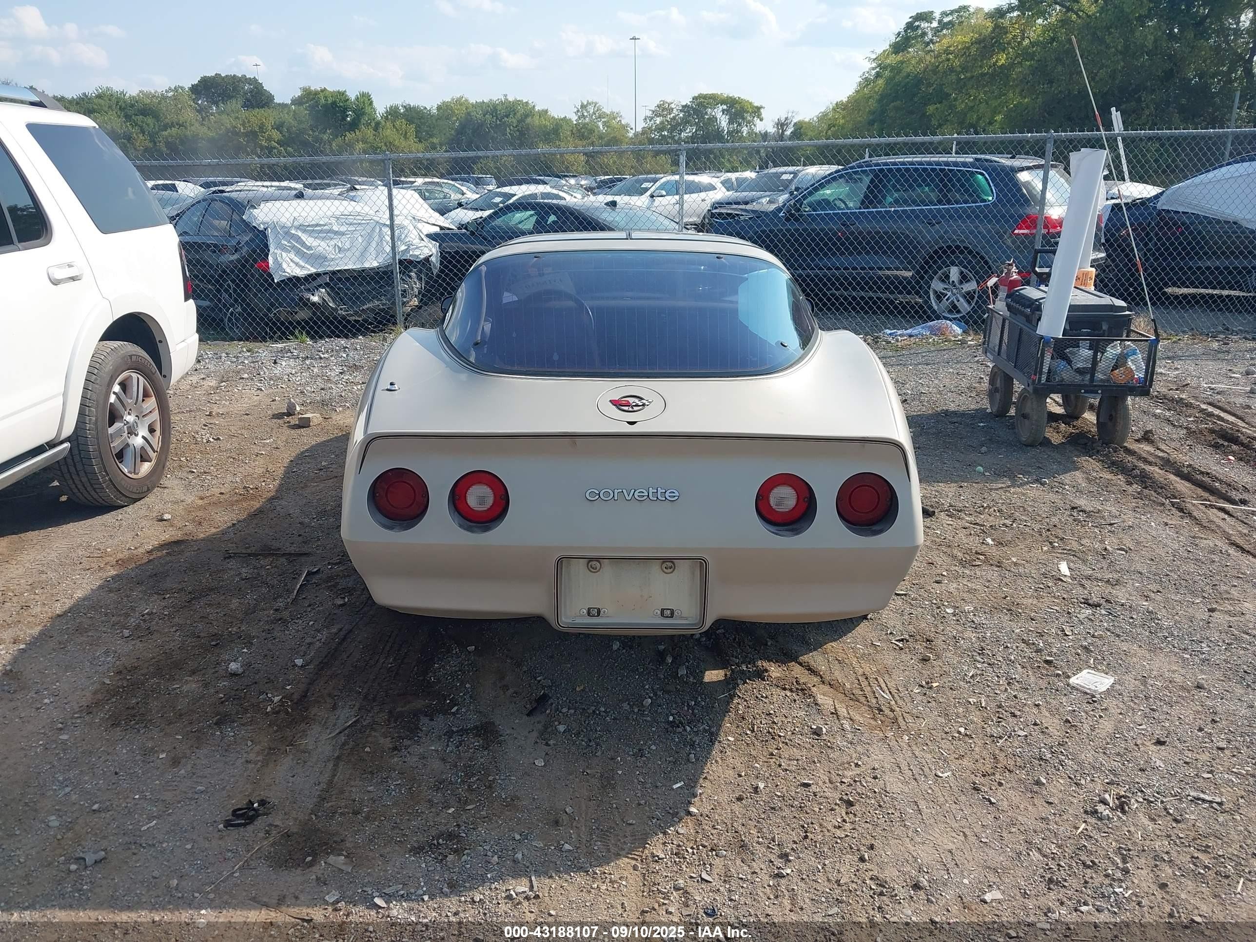 1982 Chevrolet Corvette   Золотой vin: MVIN56228IND     