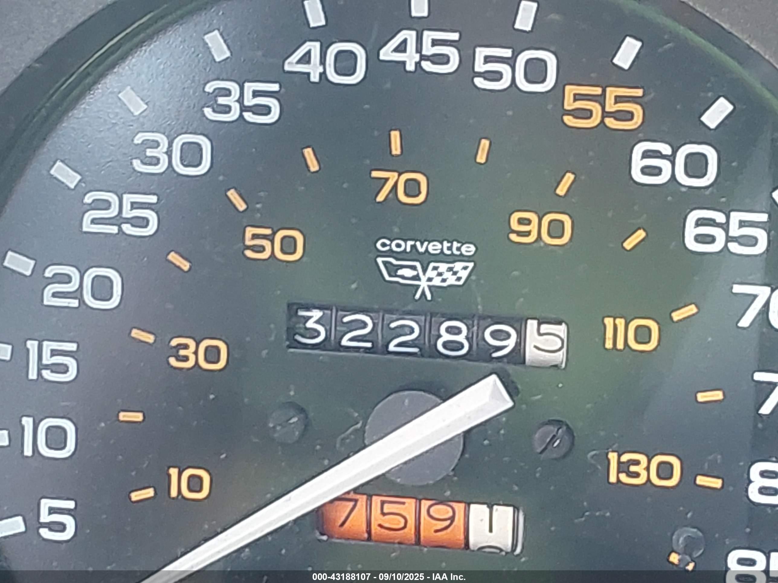 1982 Chevrolet Corvette   Золотой vin: MVIN56228IND     