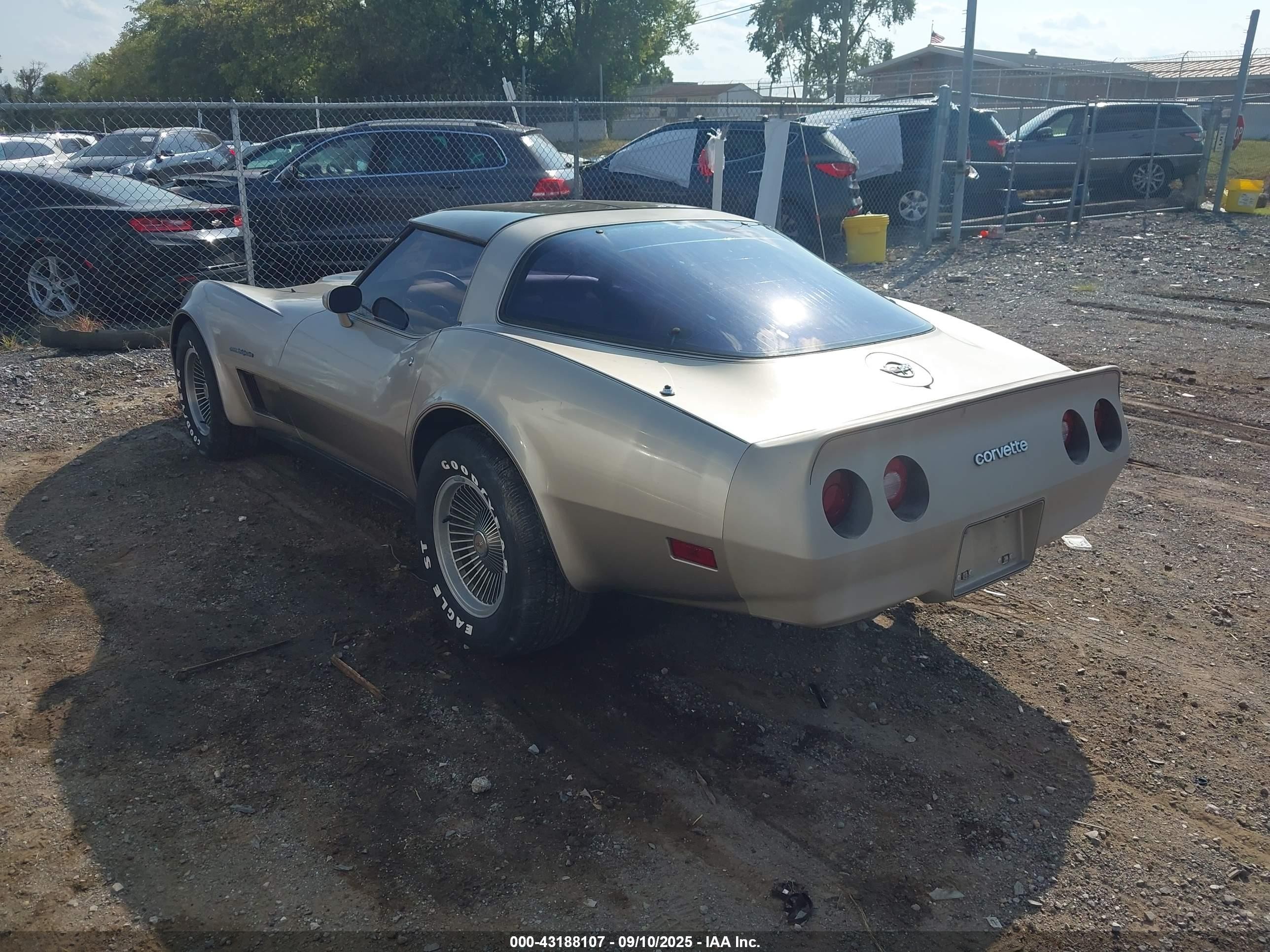 1982 Chevrolet Corvette   Золотой vin: MVIN56228IND     