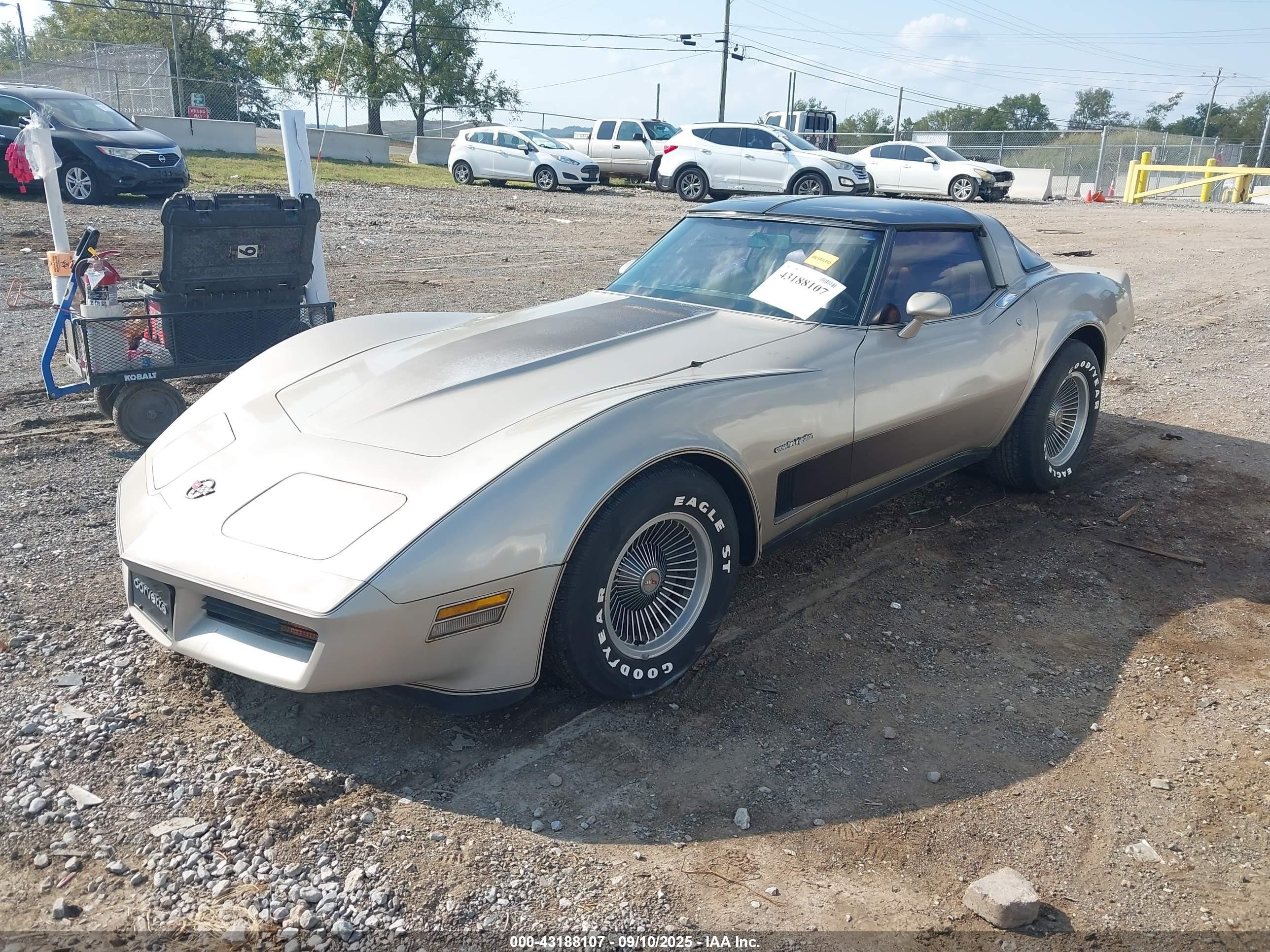 1982 Chevrolet Corvette   Золотой vin: MVIN56228IND     