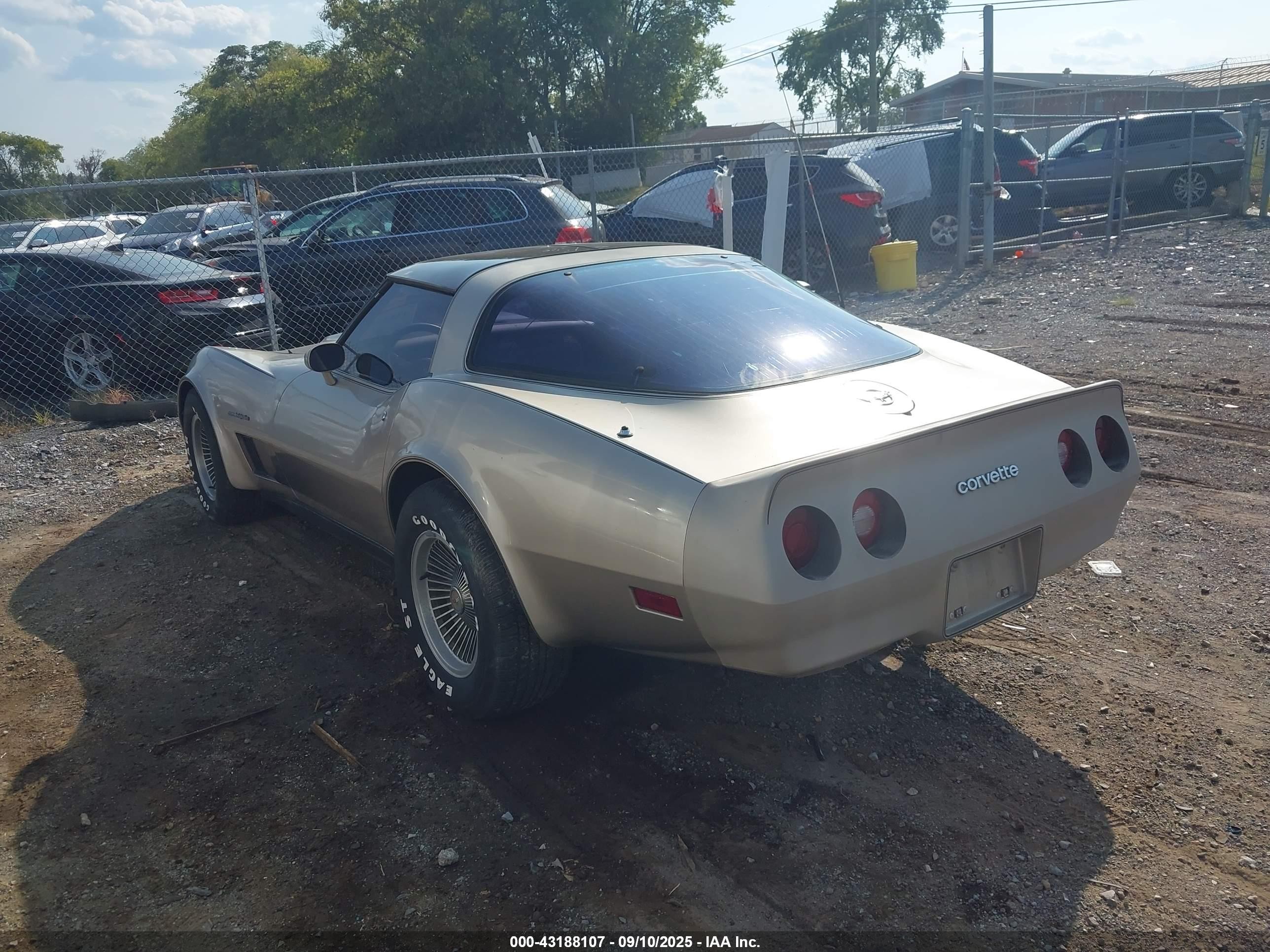 1982 Chevrolet Corvette   Золотой vin: MVIN56228IND     