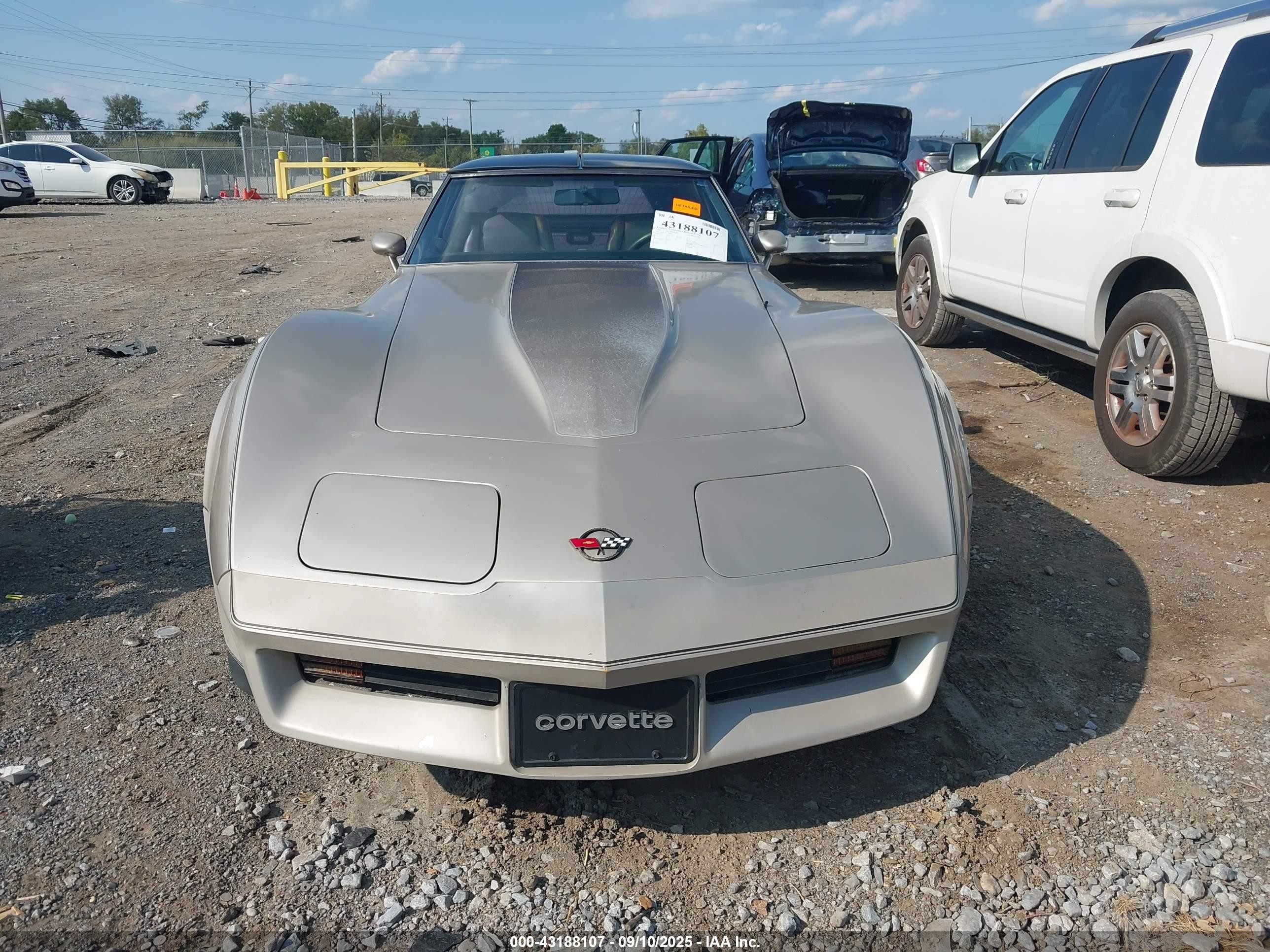 1982 Chevrolet Corvette   Золотой vin: MVIN56228IND     