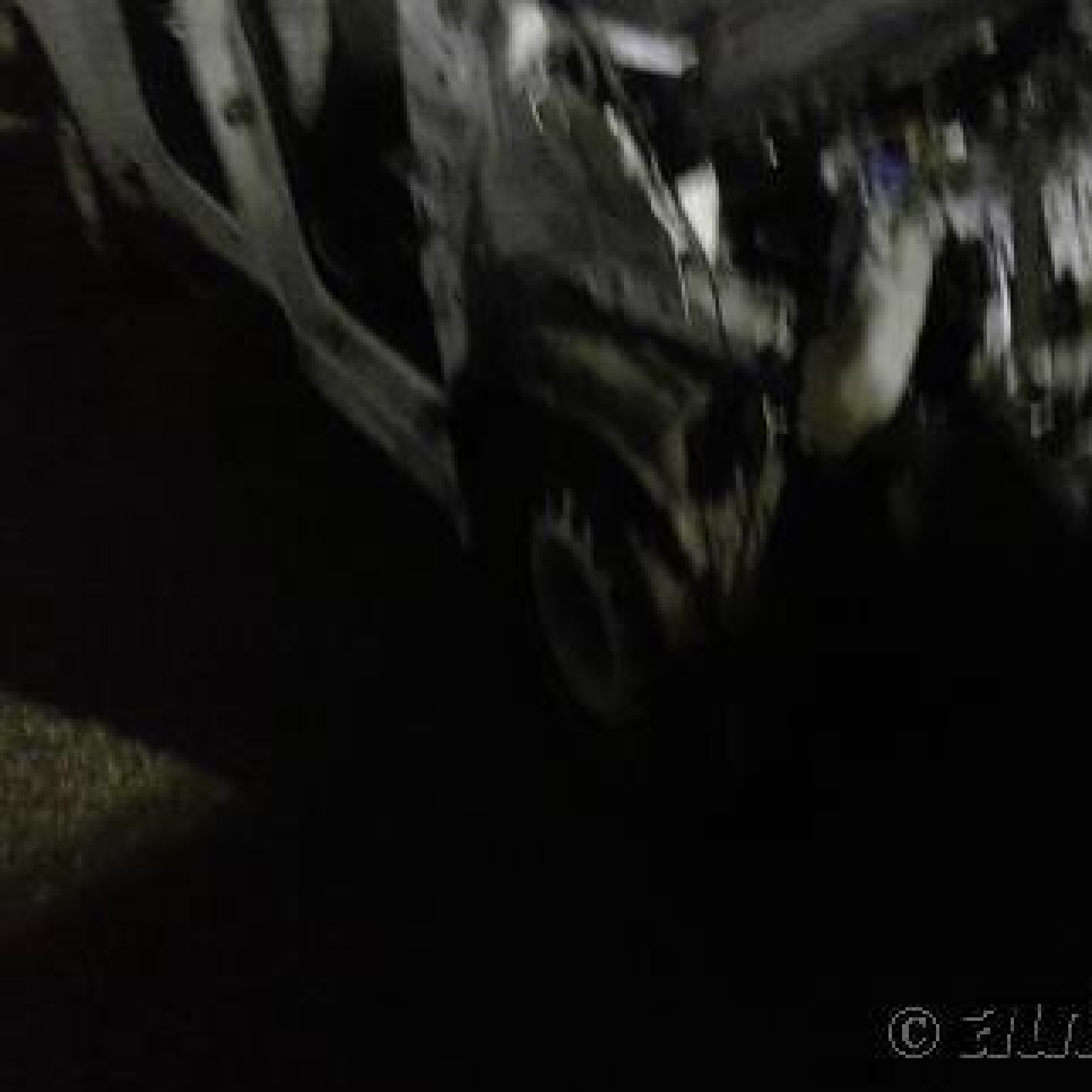 2020 Ford Transit Connect Xl vin: NM0LS7E24L1443788