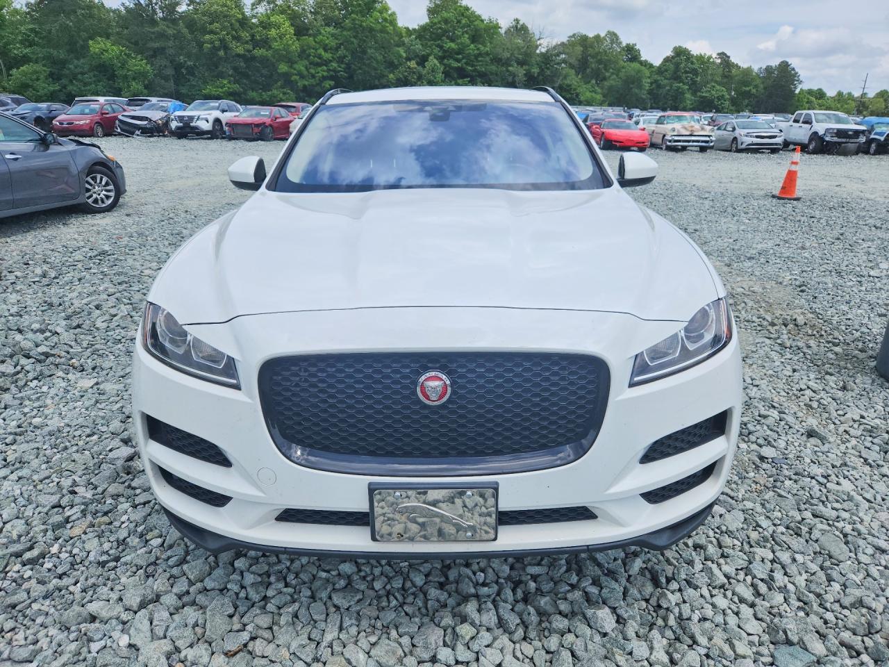 2018 Jaguar F-pace Premium White vin: SADCJ2FX3JA265778
