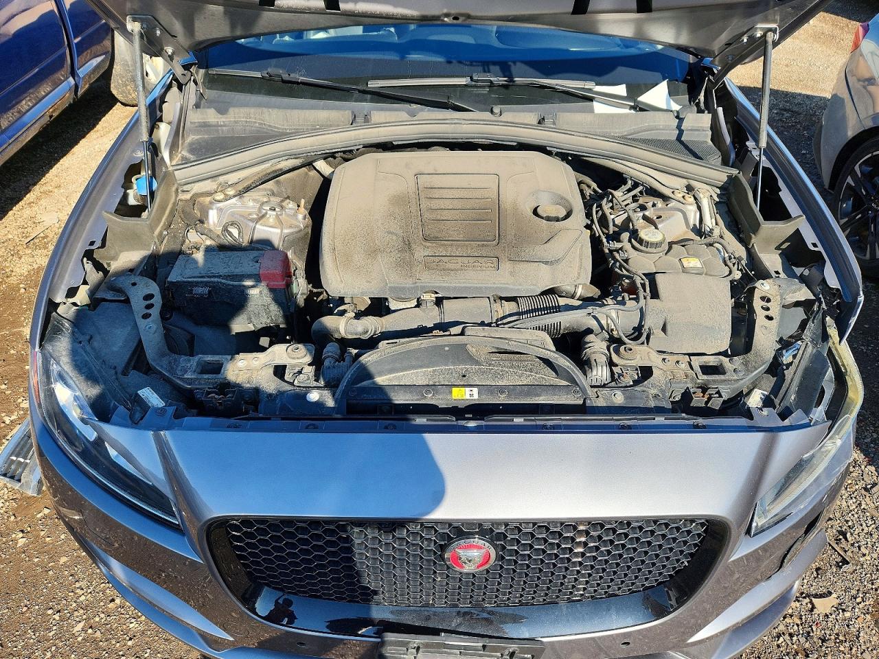 2020 Jaguar F-pace Premium Gray vin: SADCJ2FX3LA623495