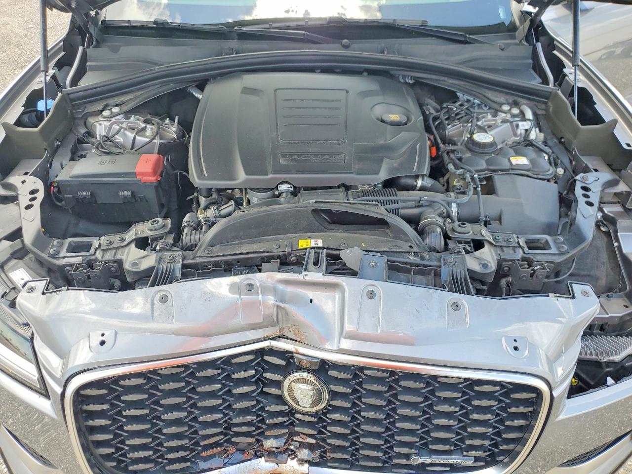 2025 Jaguar F-pace R-dynamic S Серый vin: SADCT2EXXSA743465