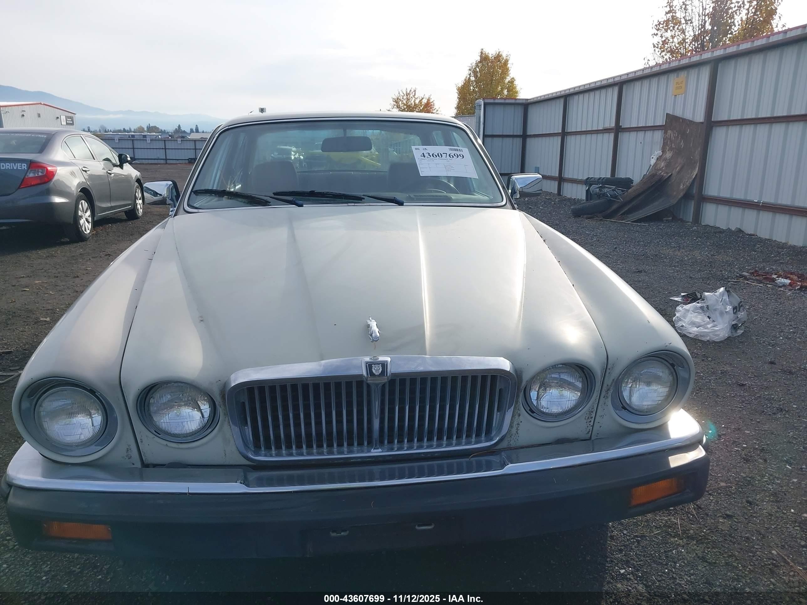 1985 Jaguar Xj6   White vin: SAJAV1340FC394392