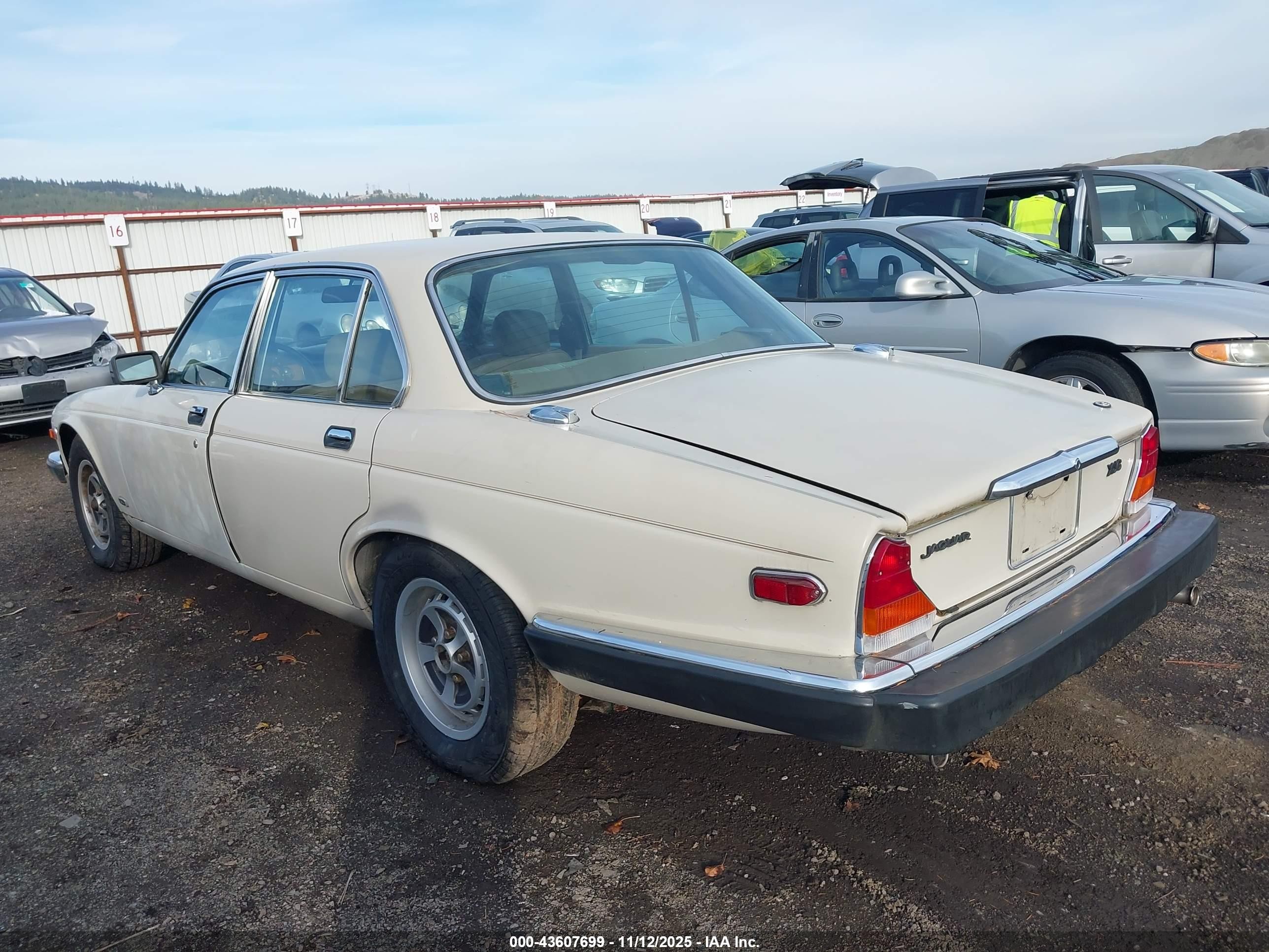 1985 Jaguar Xj6   White vin: SAJAV1340FC394392