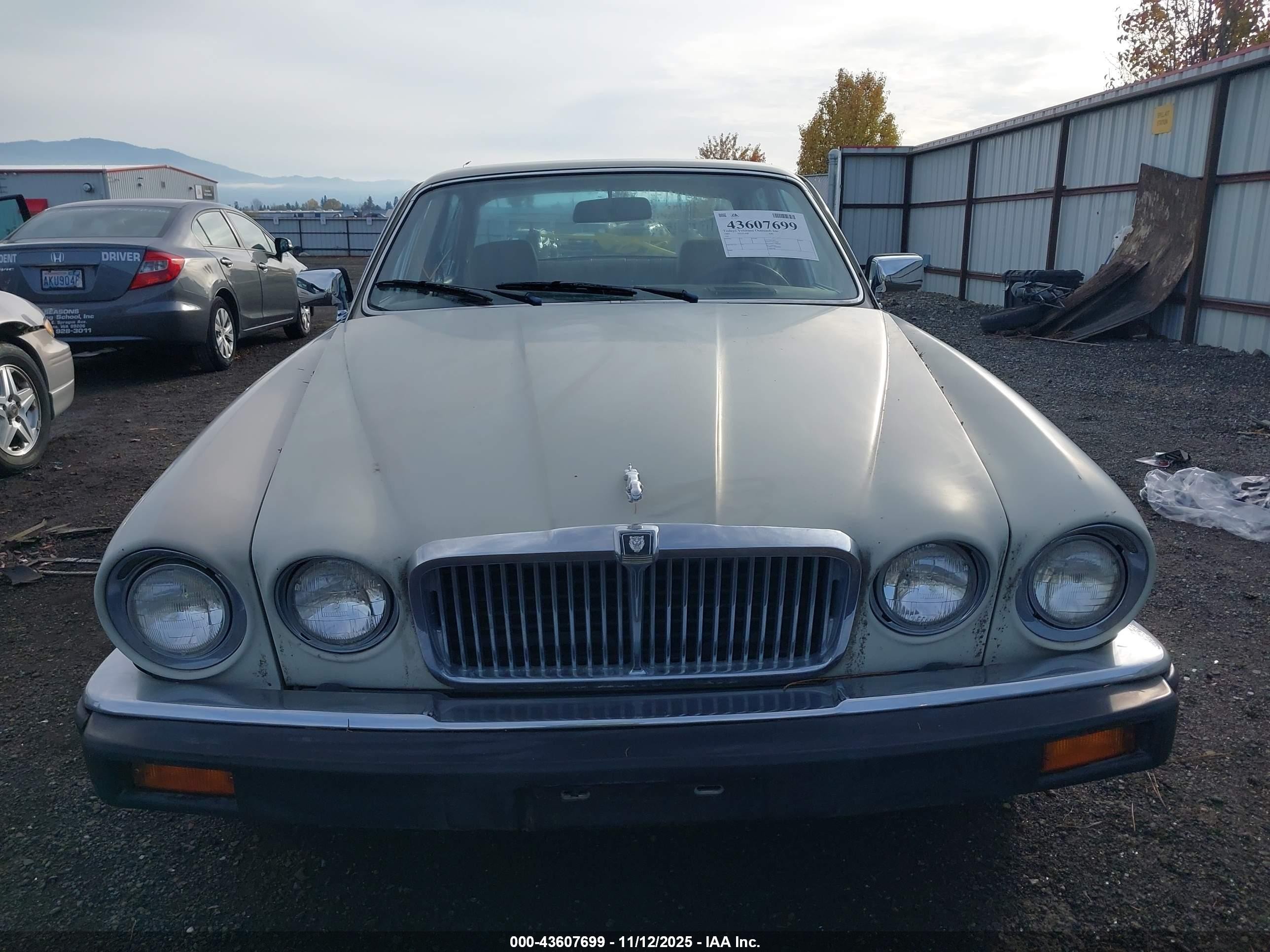 1985 Jaguar Xj6   White vin: SAJAV1340FC394392