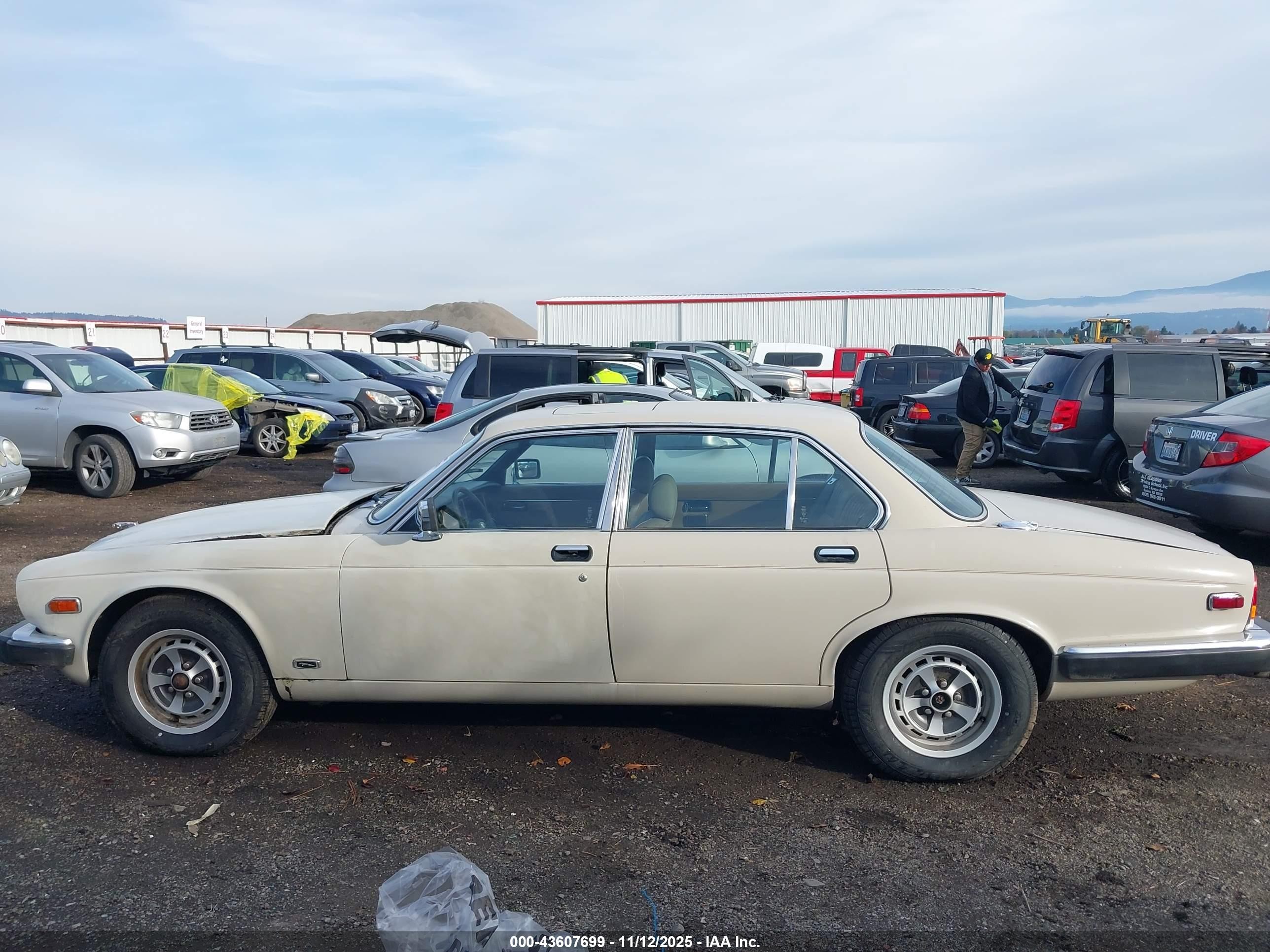 1985 Jaguar Xj6   White vin: SAJAV1340FC394392