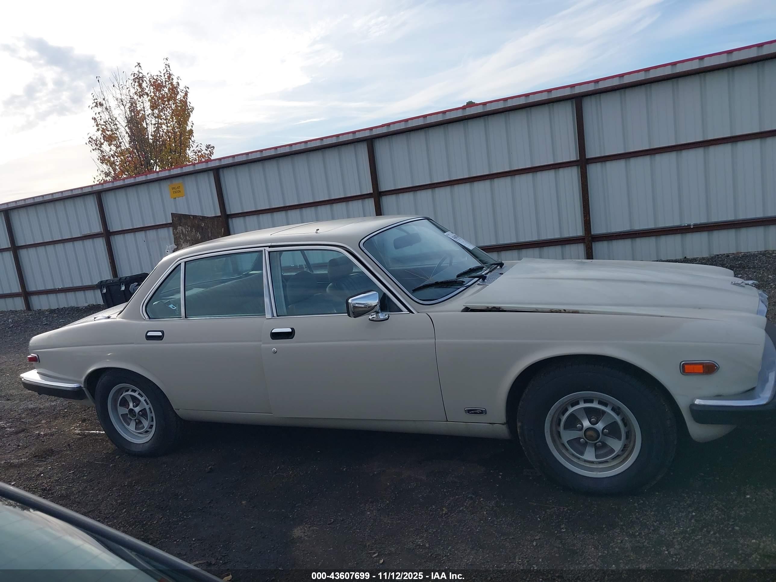 1985 Jaguar Xj6   White vin: SAJAV1340FC394392