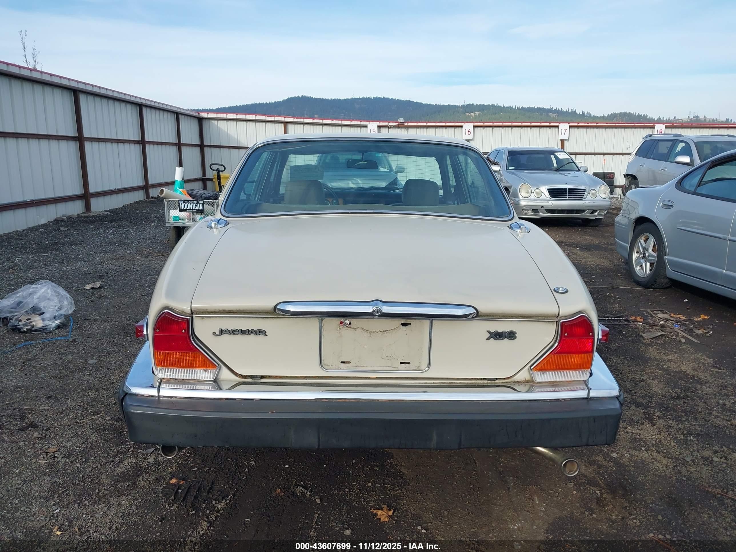 1985 Jaguar Xj6   White vin: SAJAV1340FC394392