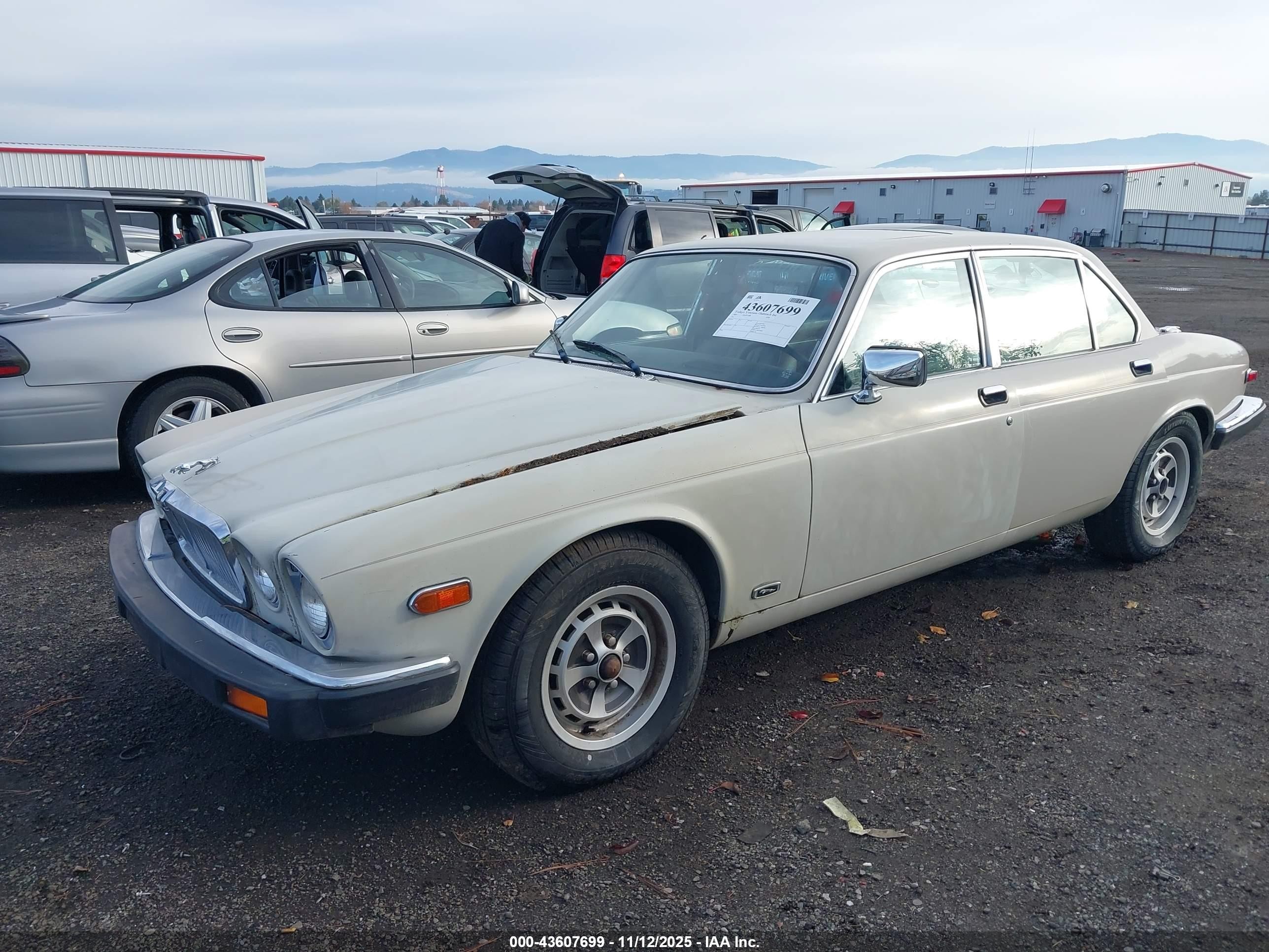 1985 Jaguar Xj6   White vin: SAJAV1340FC394392