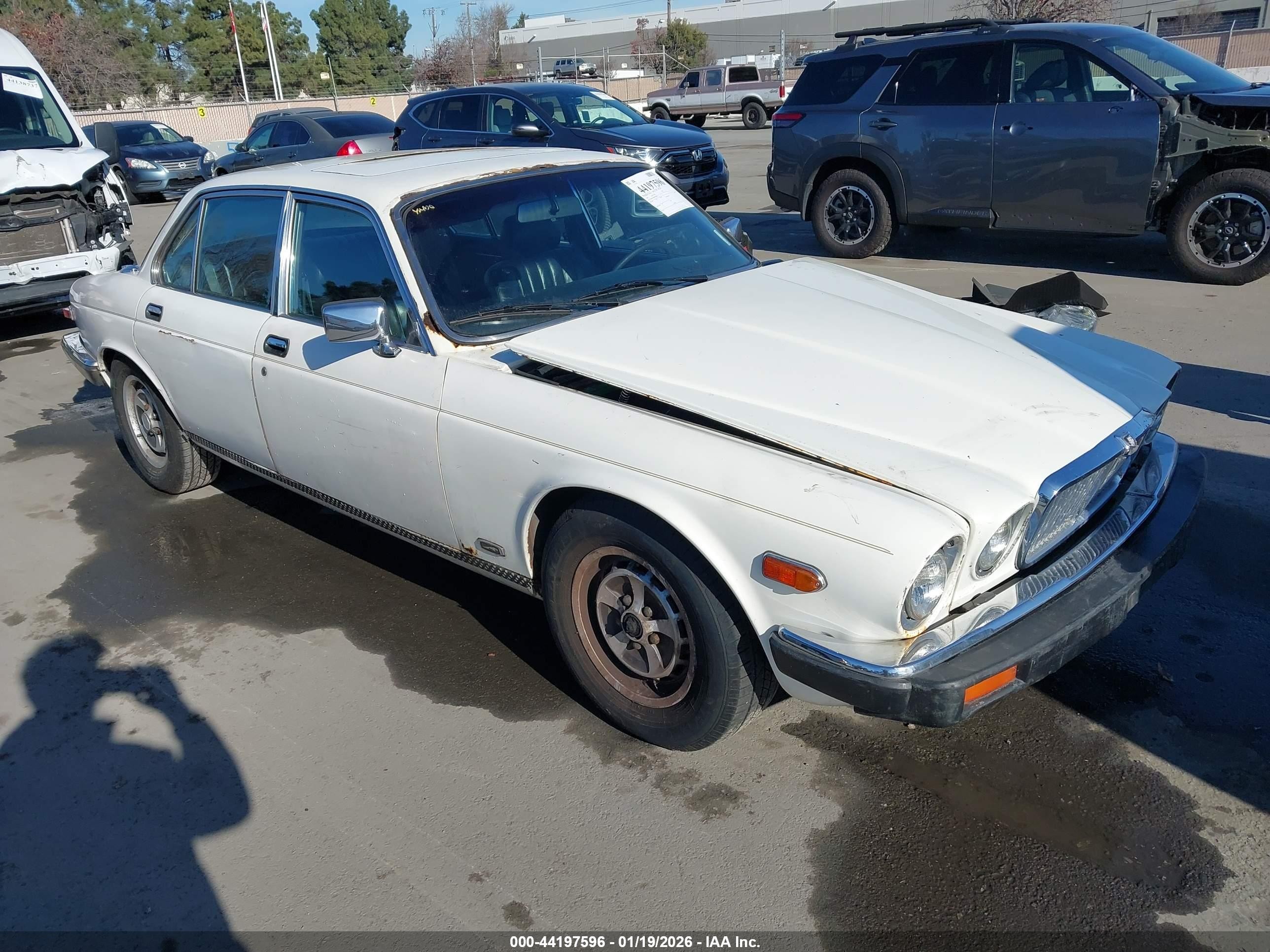1985 Jaguar Xj6   White vin: SAJAV1340FC398667