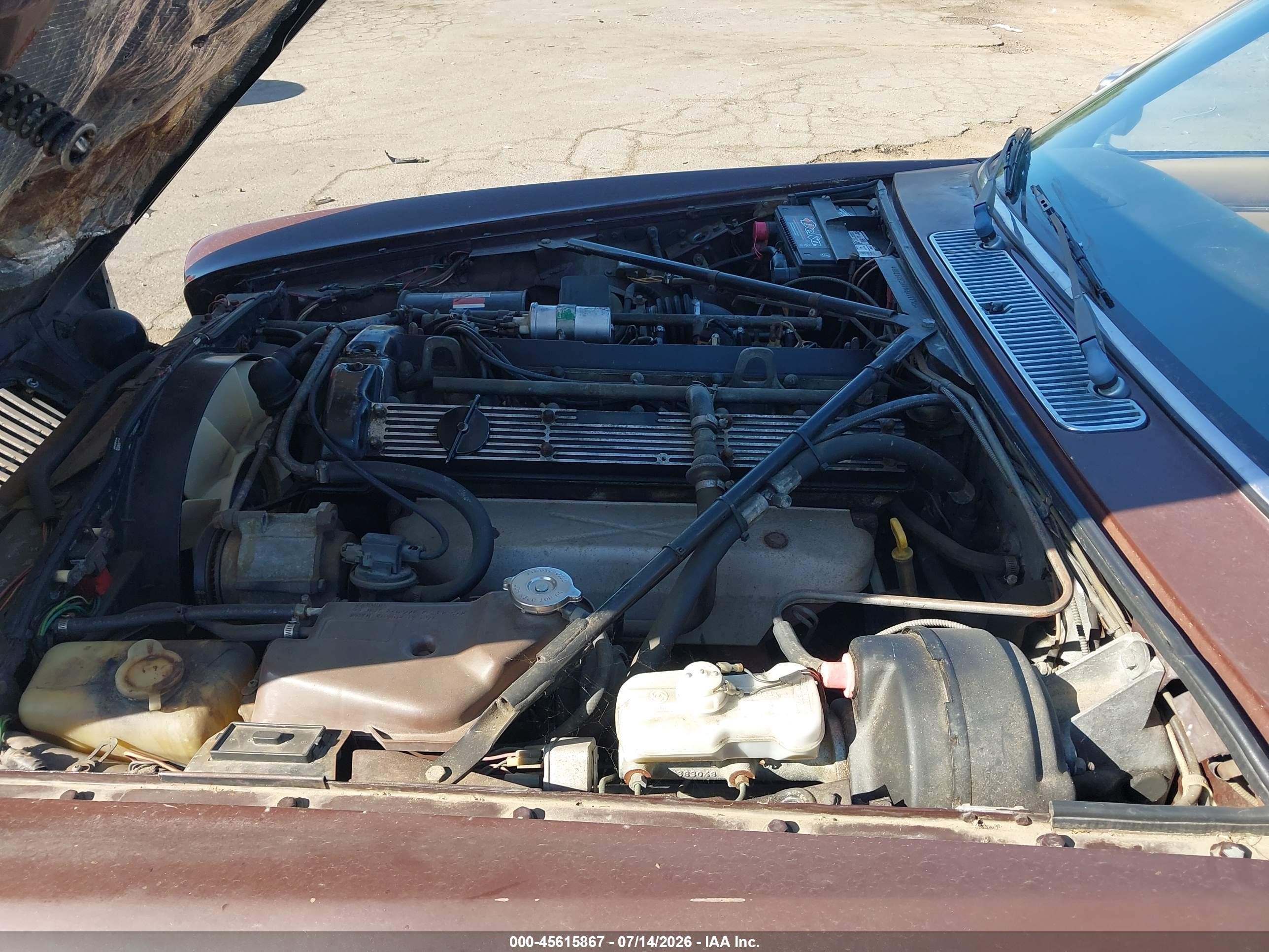 1984 Jaguar Xj6   Brown vin: SAJAV1342EC389788