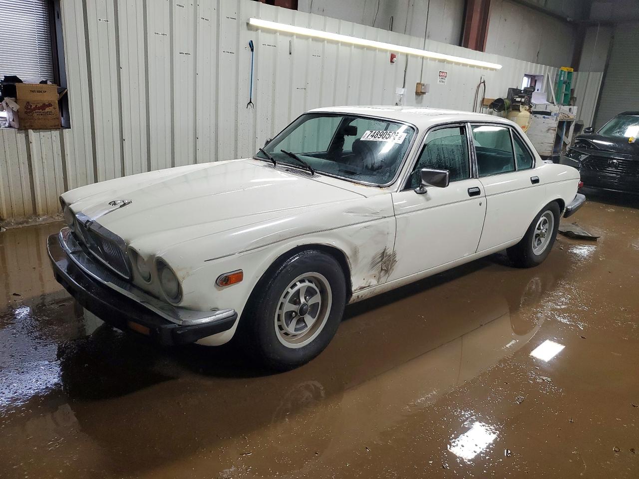 1985 Jaguar Xj6 White vin: SAJAV1343FC429376