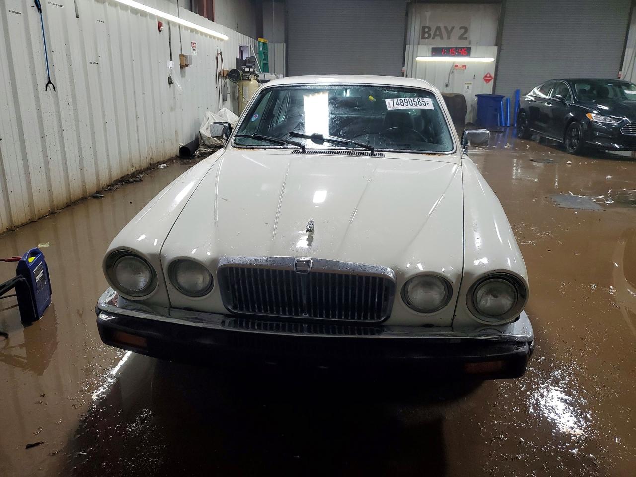 1985 Jaguar Xj6 White vin: SAJAV1343FC429376