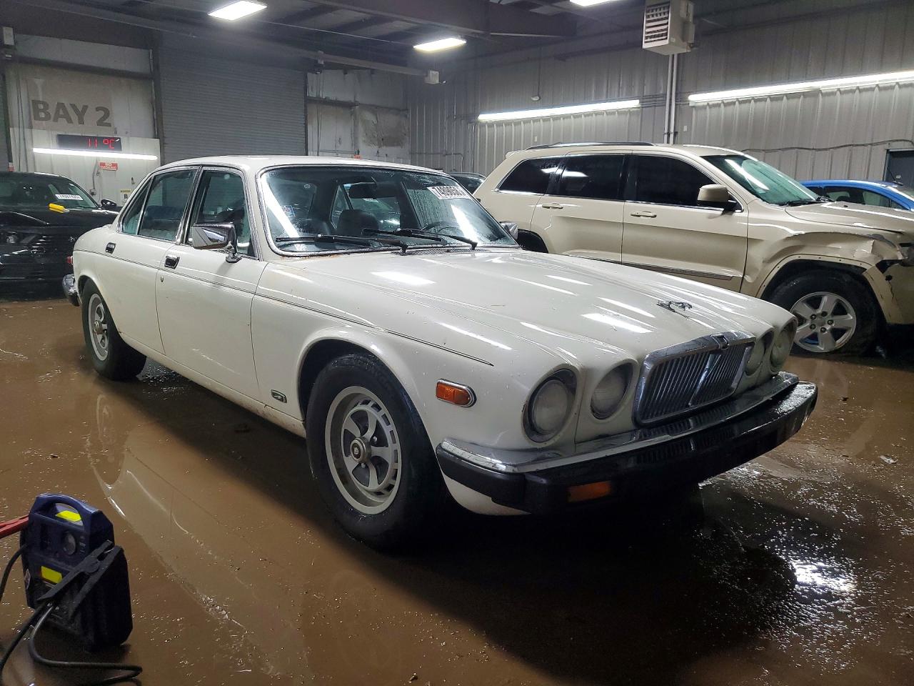 1985 Jaguar Xj6 White vin: SAJAV1343FC429376