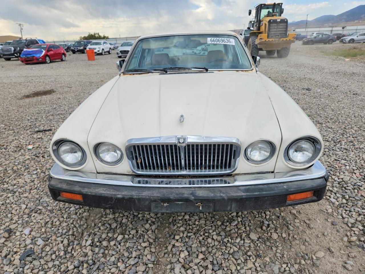 1986 Jaguar Xj6 White vin: SAJAV1343GC436880