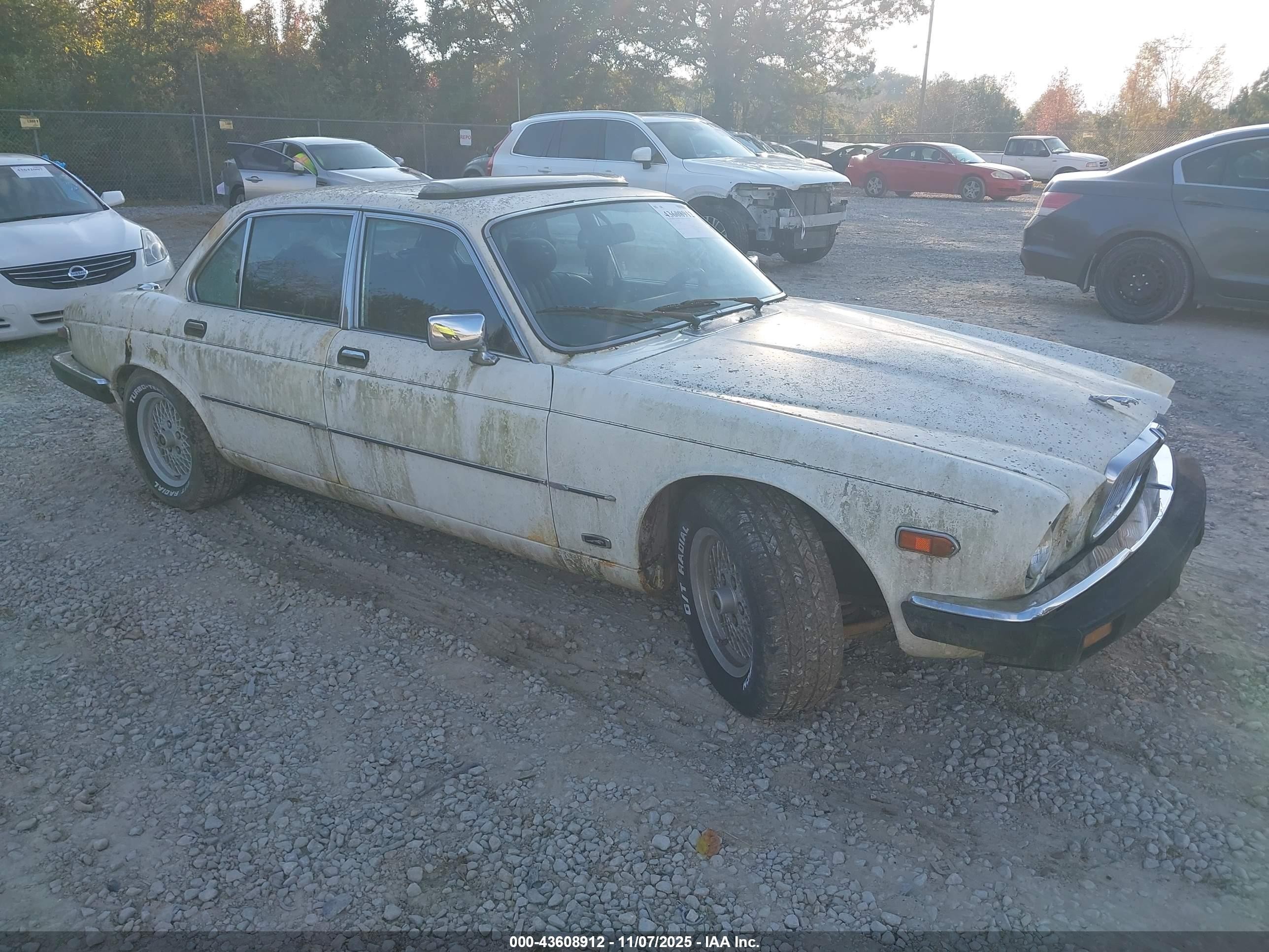 1985 Jaguar Xj6   White vin: SAJAV1344FC430441