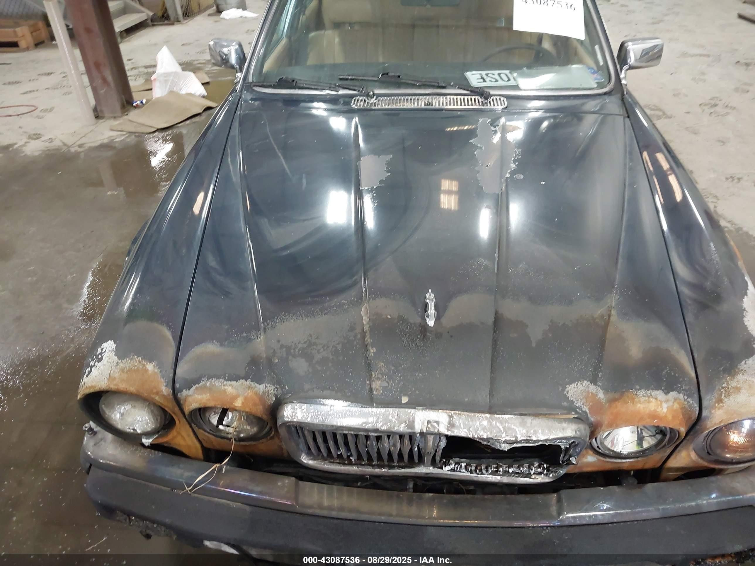 1985 Jaguar Xj6   Green vin: SAJAV1346FC416069