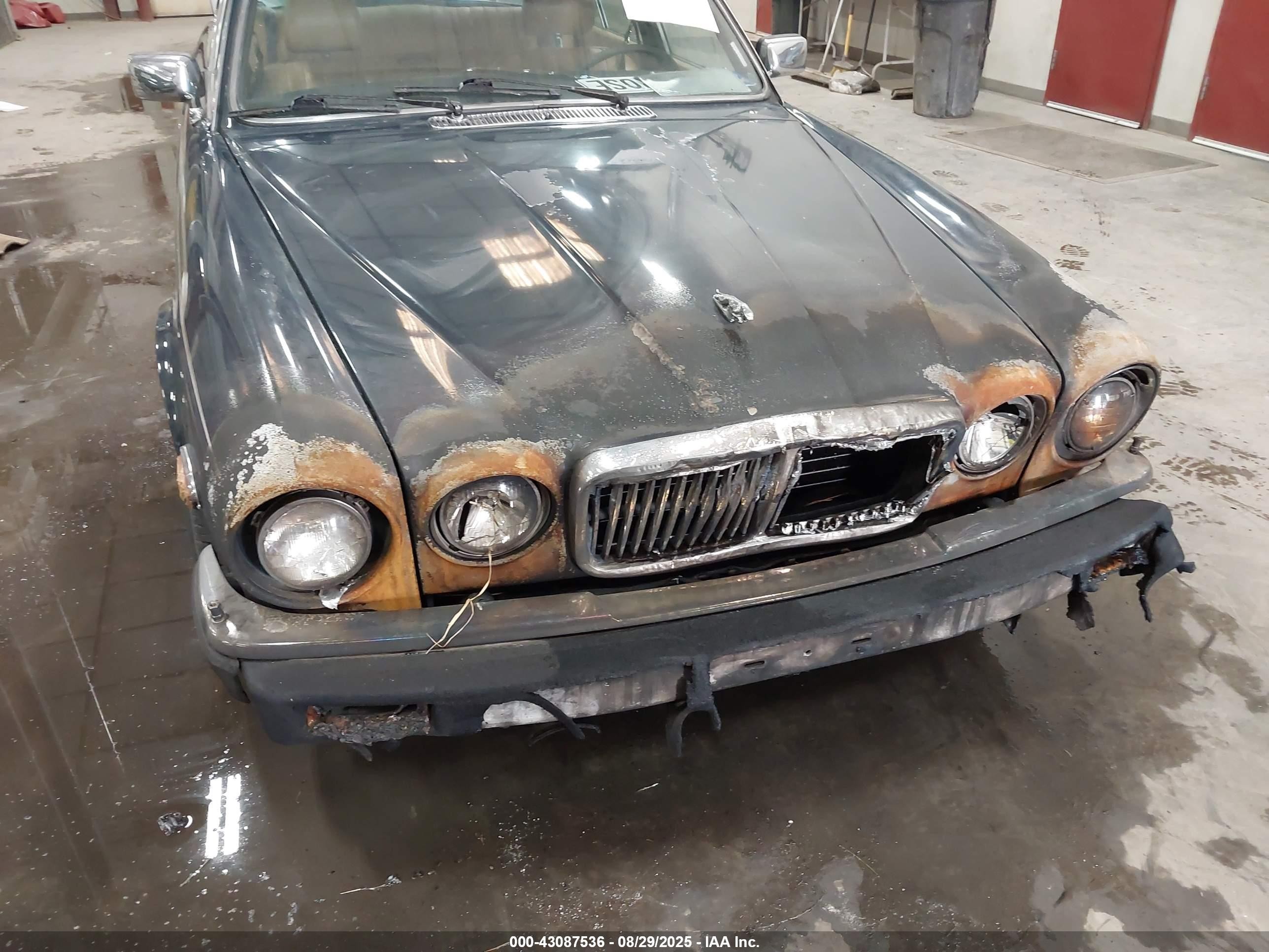 1985 Jaguar Xj6   Green vin: SAJAV1346FC416069