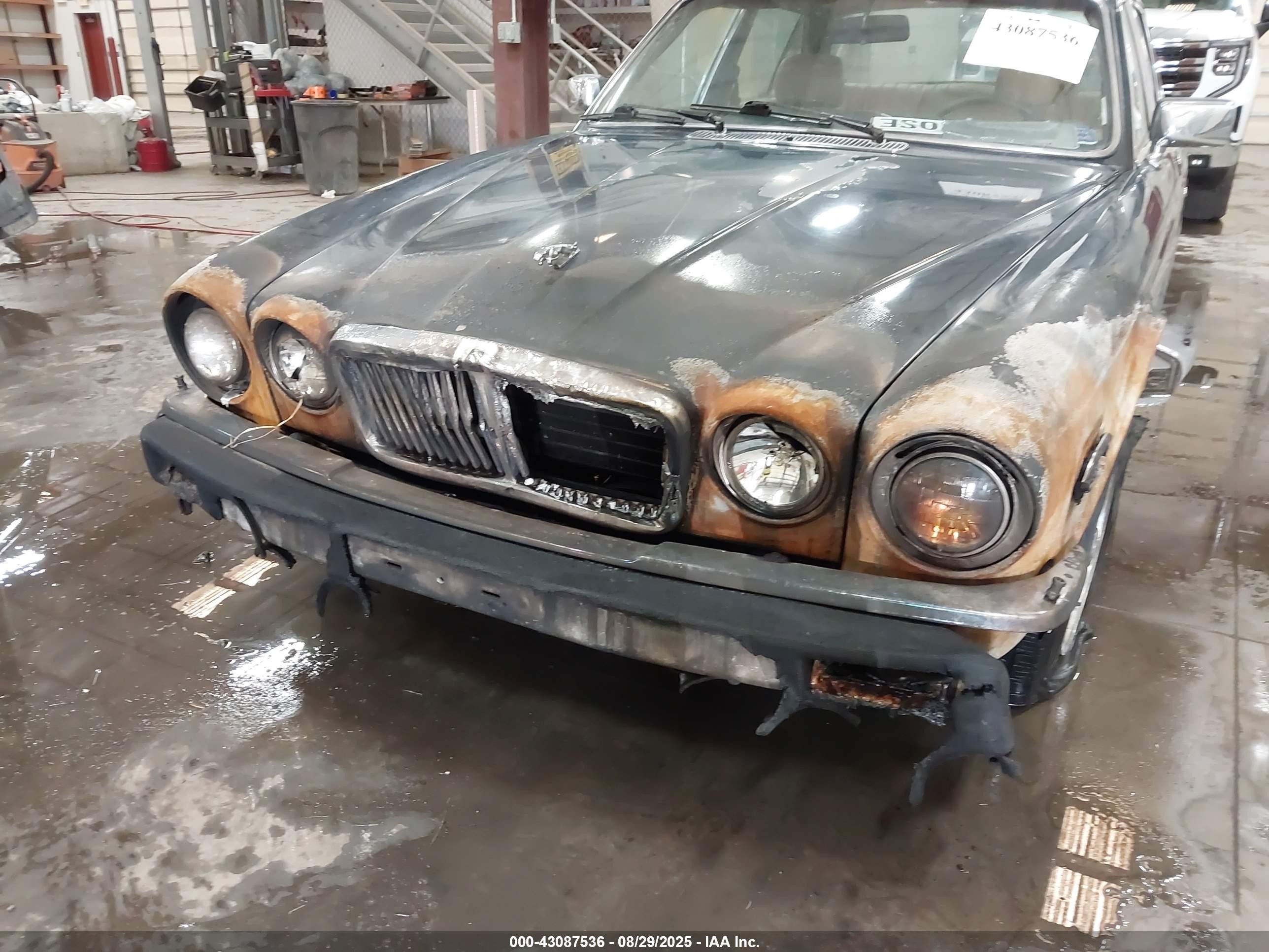 1985 Jaguar Xj6   Green vin: SAJAV1346FC416069