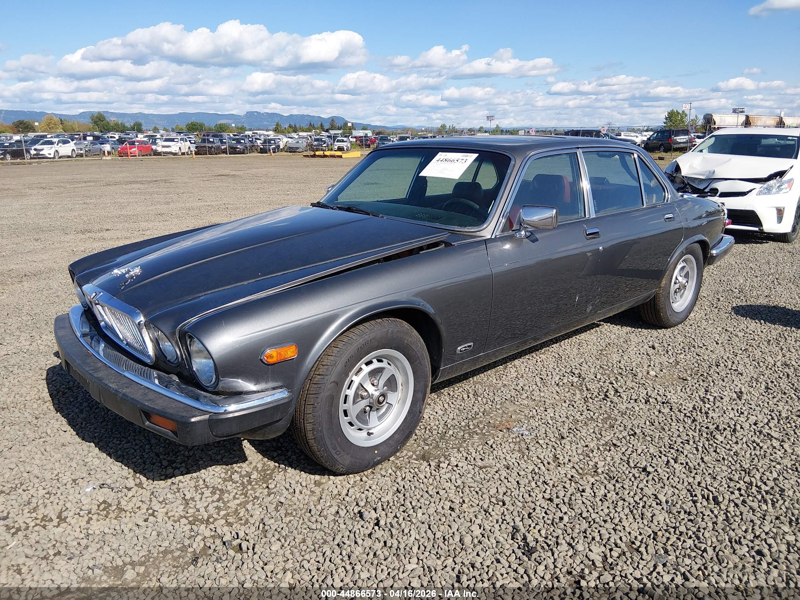 1985 Jaguar Xj6   Gray vin: SAJAV1347FC414251