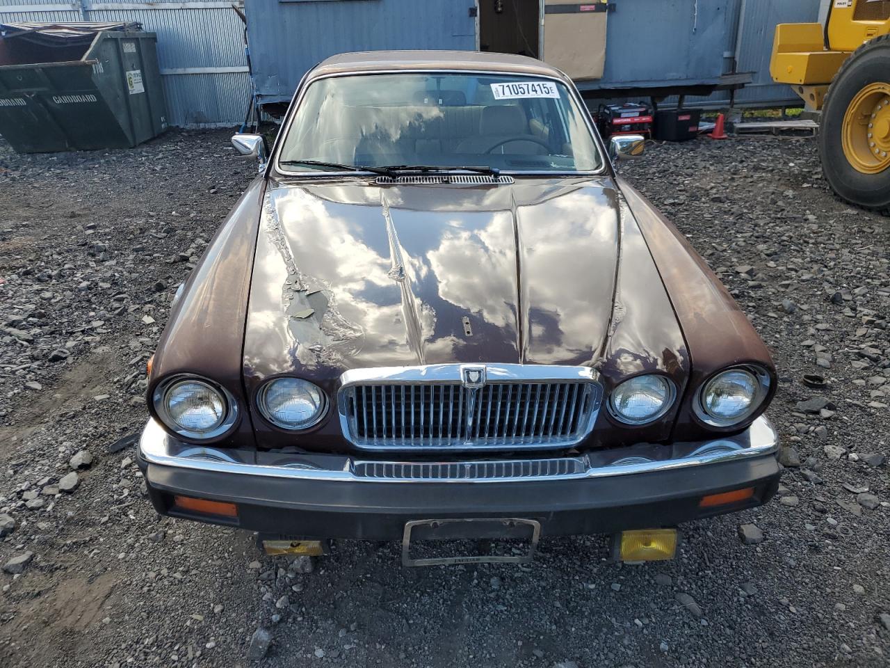 1984 Jaguar Xj6 Brown vin: SAJAV1348EC378486