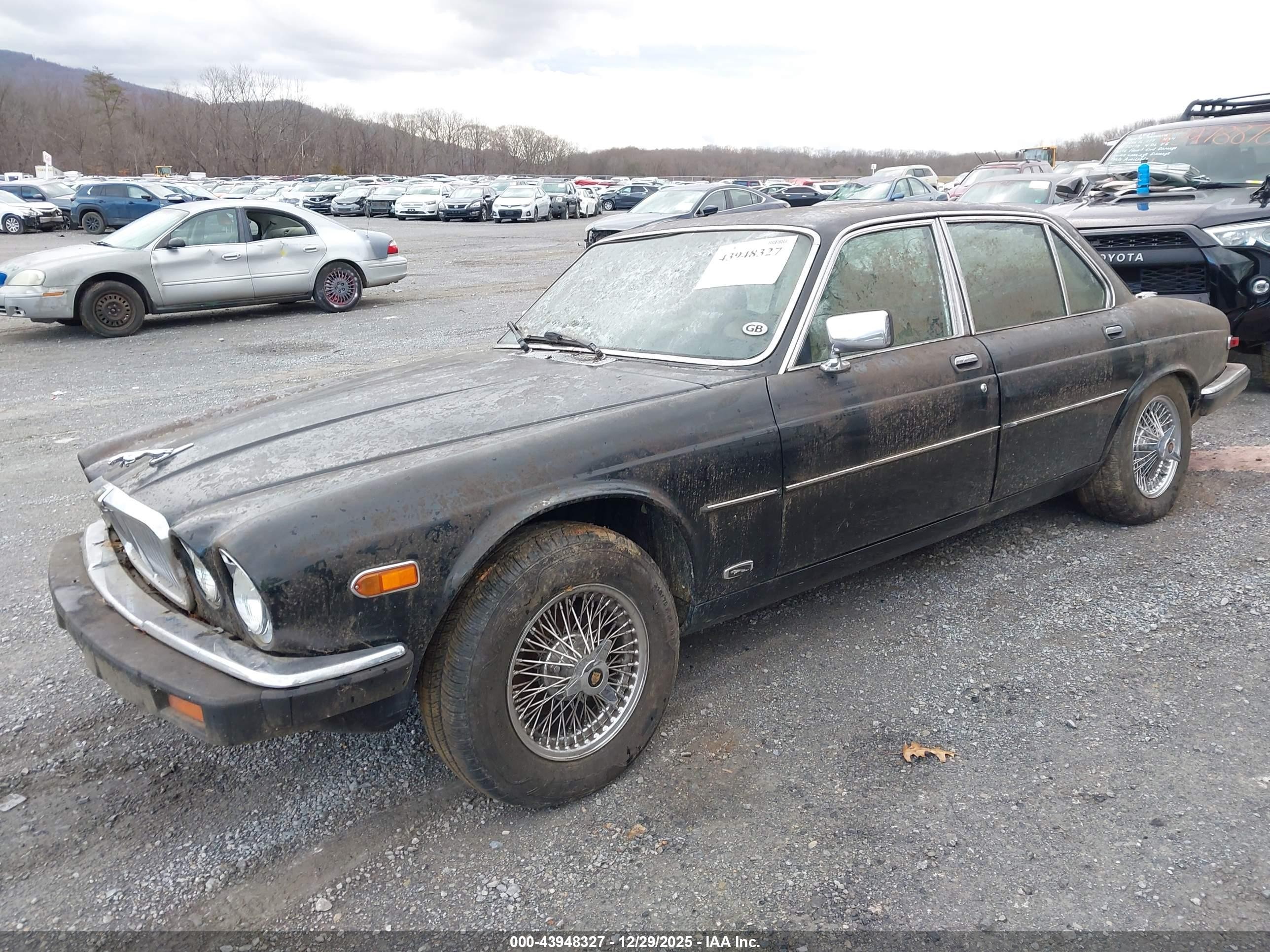 1986 Jaguar Xj6 Vanden Plas Black vin: SAJAY1342GC444914