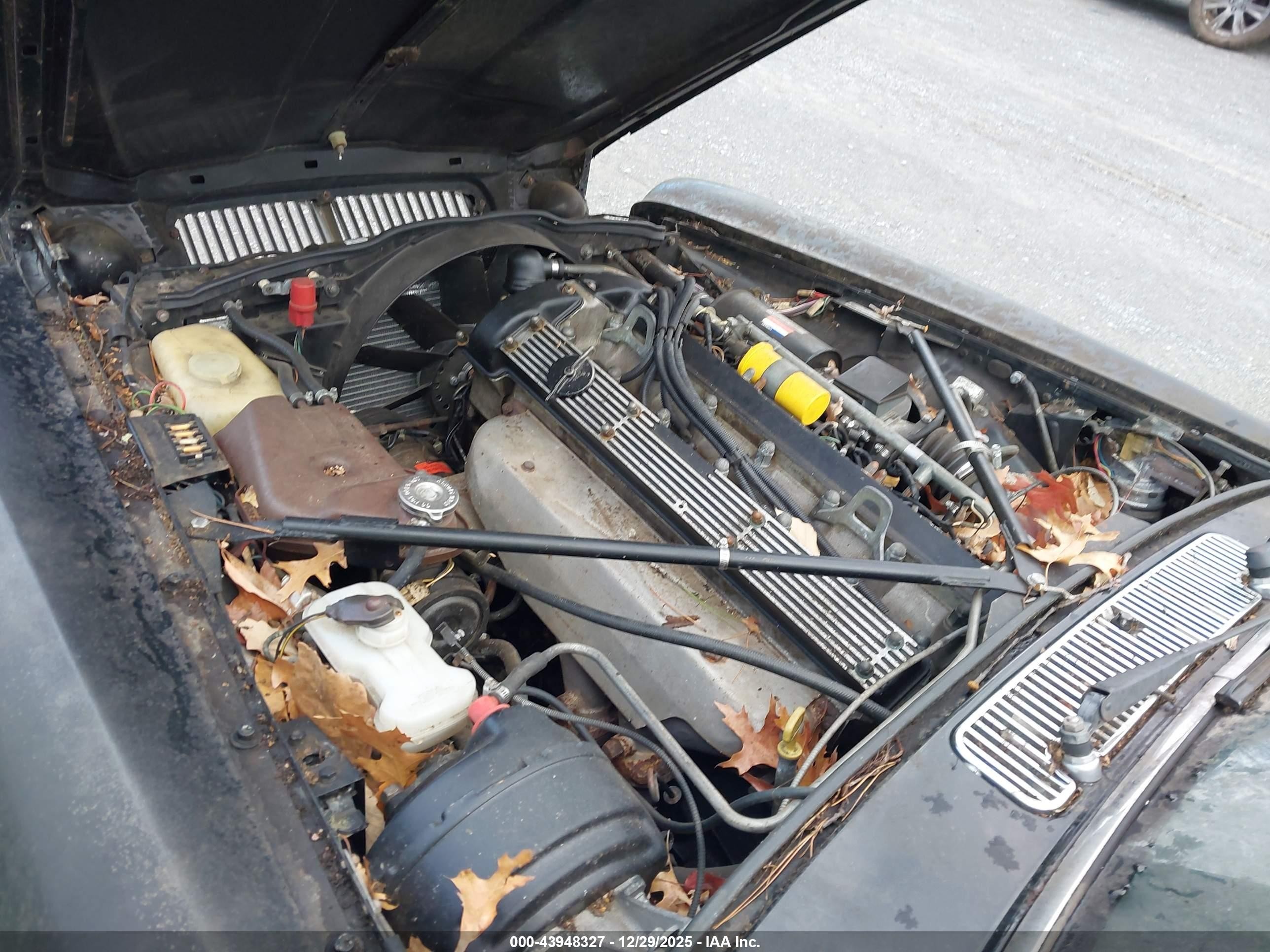 1986 Jaguar Xj6 Vanden Plas Black vin: SAJAY1342GC444914