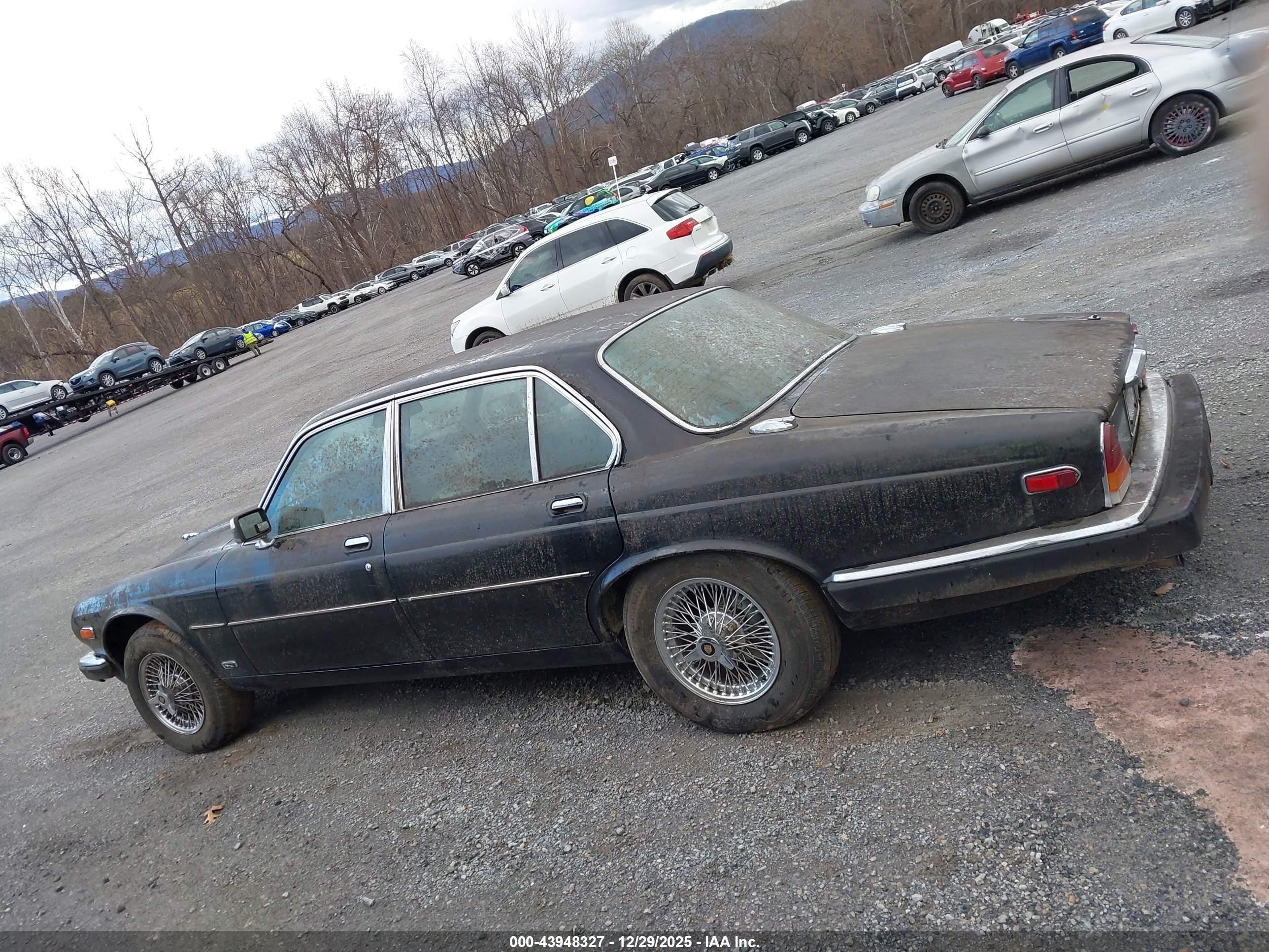 1986 Jaguar Xj6 Vanden Plas Black vin: SAJAY1342GC444914