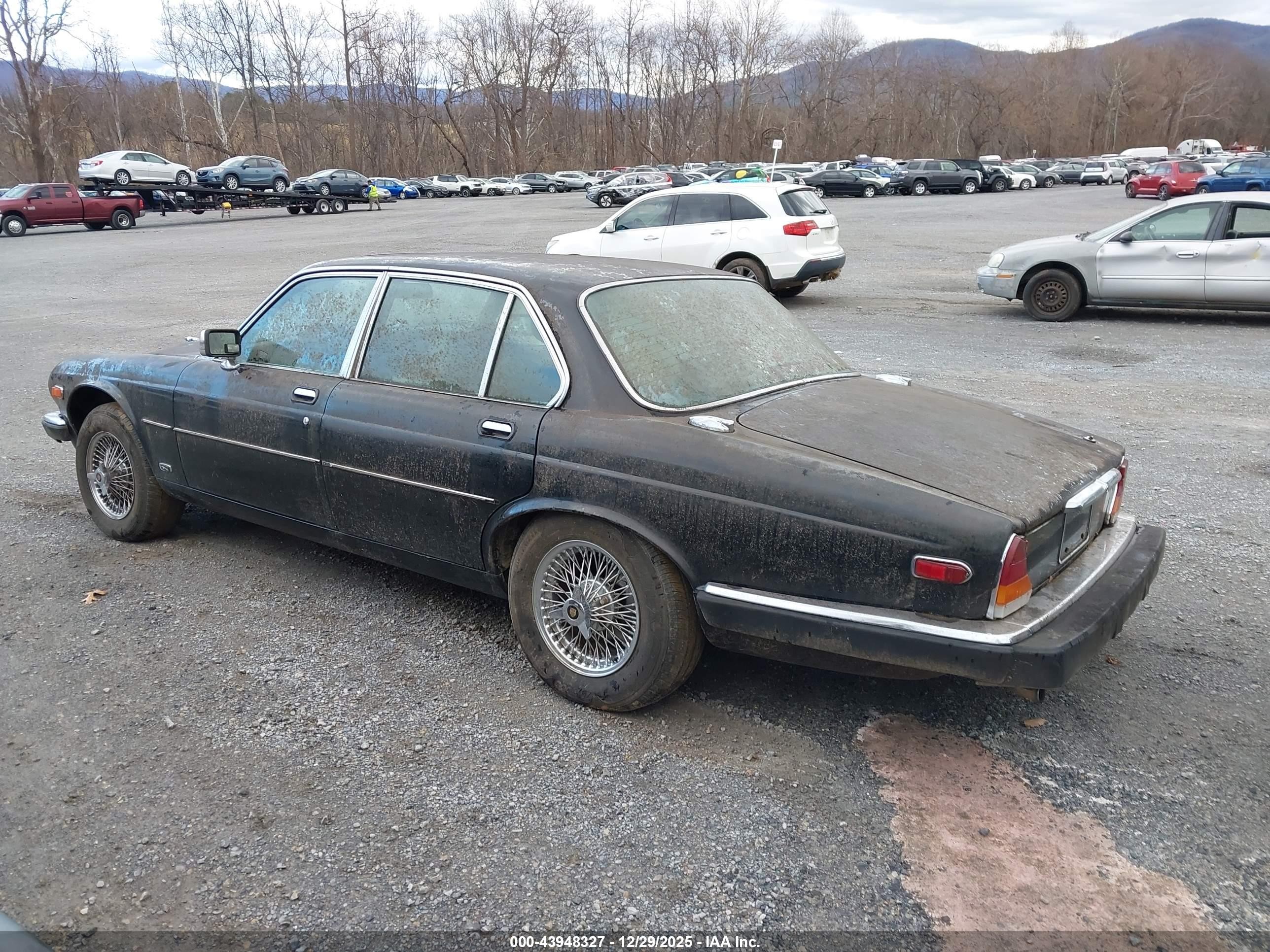 1986 Jaguar Xj6 Vanden Plas Black vin: SAJAY1342GC444914