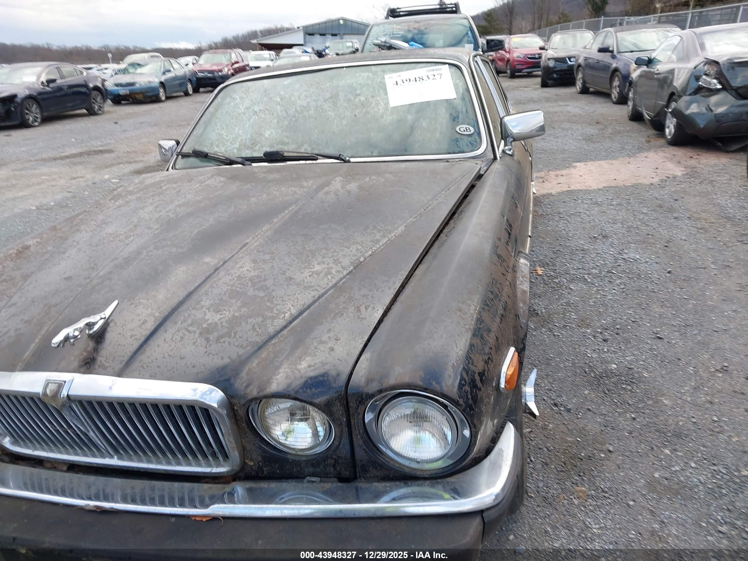 1986 Jaguar Xj6 Vanden Plas Black vin: SAJAY1342GC444914