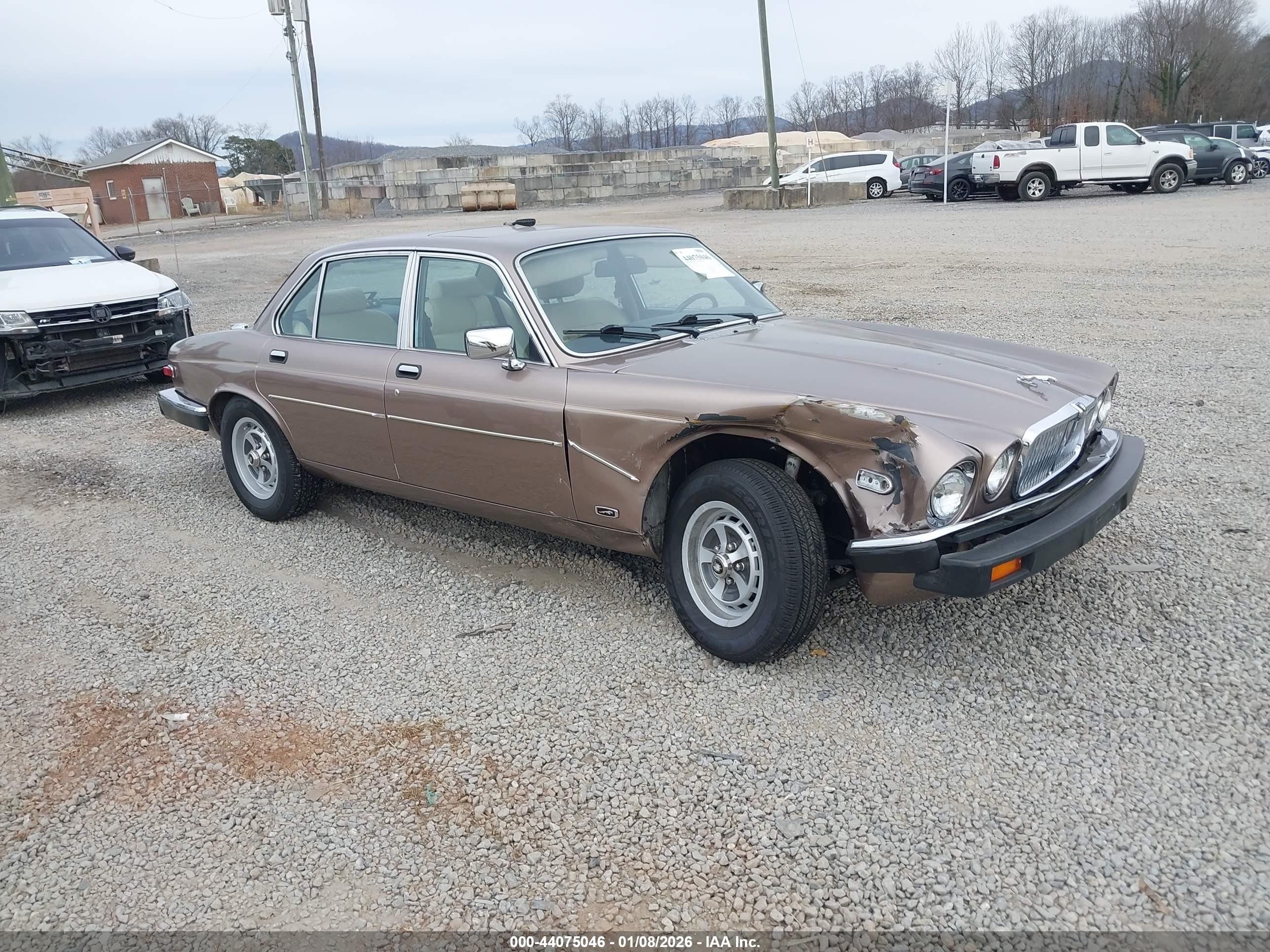 1986 Jaguar Xj6 Vanden Plas Gold vin: SAJAY1347GC446514