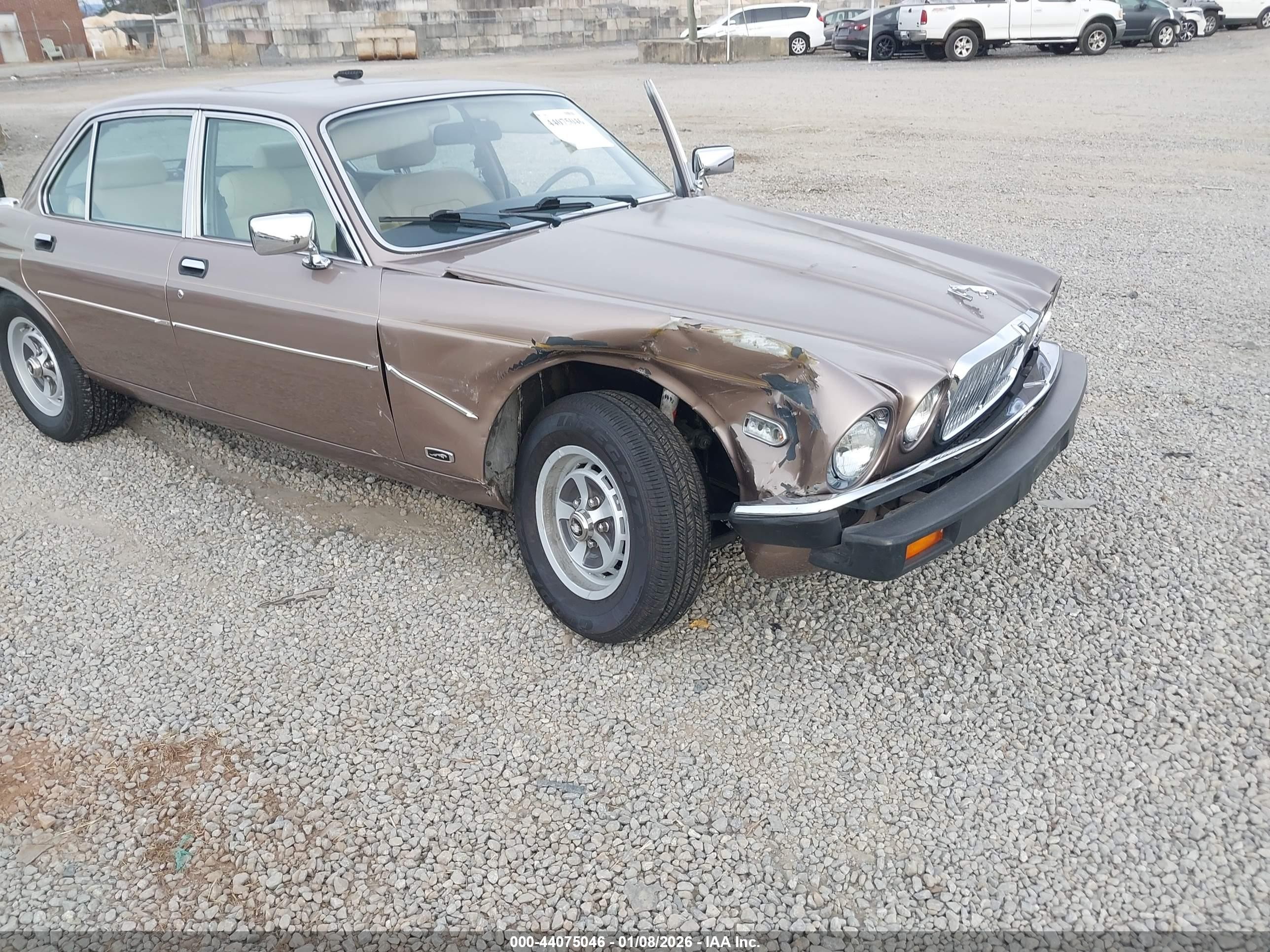 1986 Jaguar Xj6 Vanden Plas Gold vin: SAJAY1347GC446514