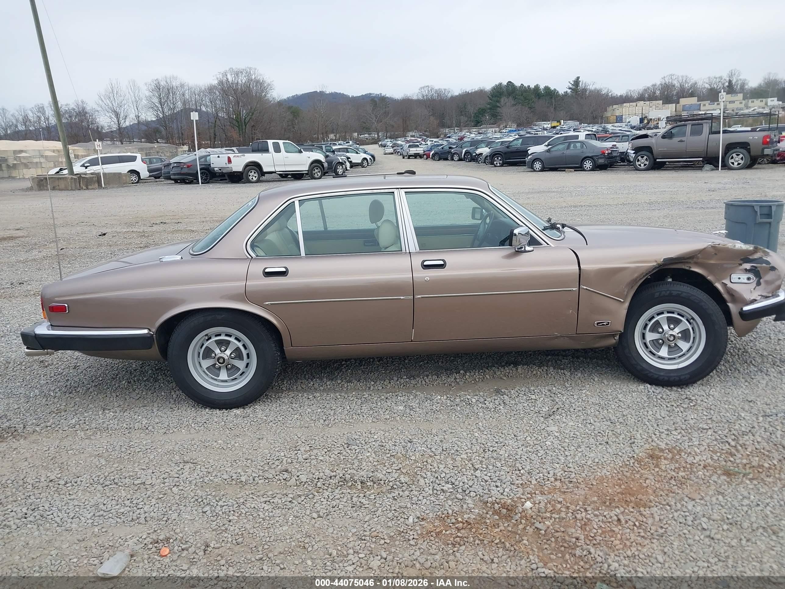 1986 Jaguar Xj6 Vanden Plas Gold vin: SAJAY1347GC446514