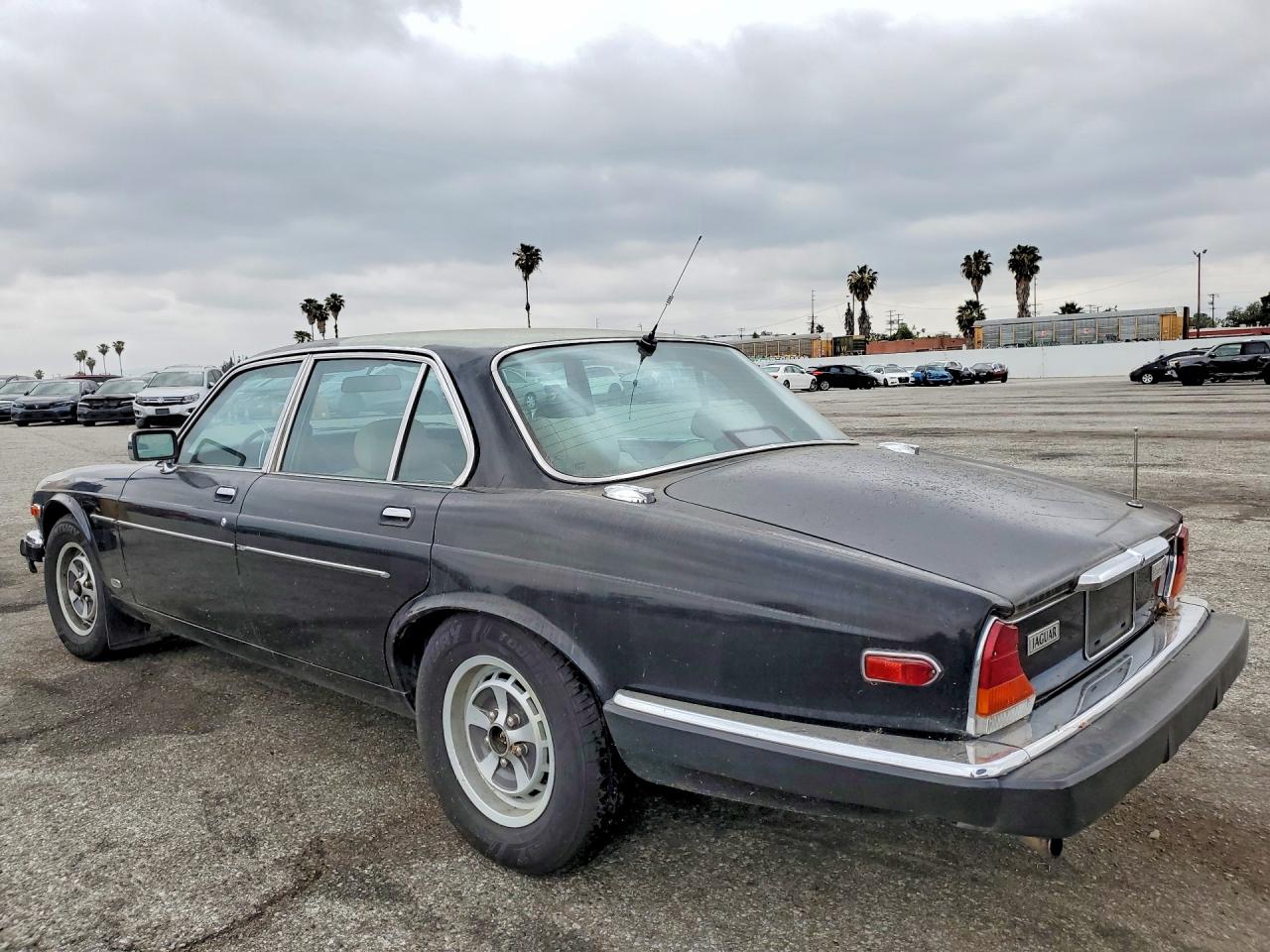 1986 Jaguar Xj6 Vanden Plas Black vin: SAJAY134XGC438696