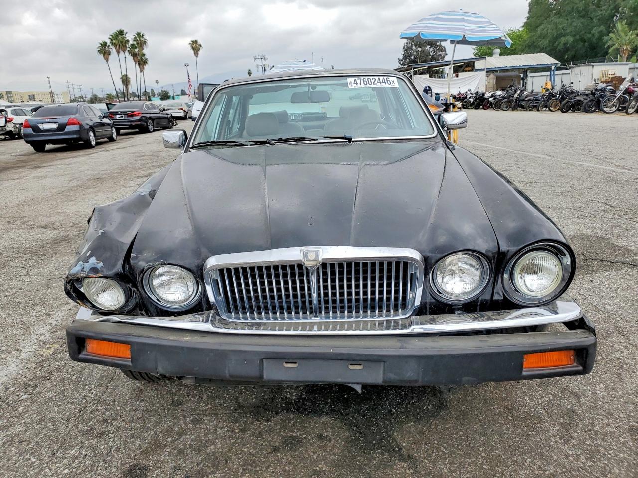 1986 Jaguar Xj6 Vanden Plas Black vin: SAJAY134XGC438696