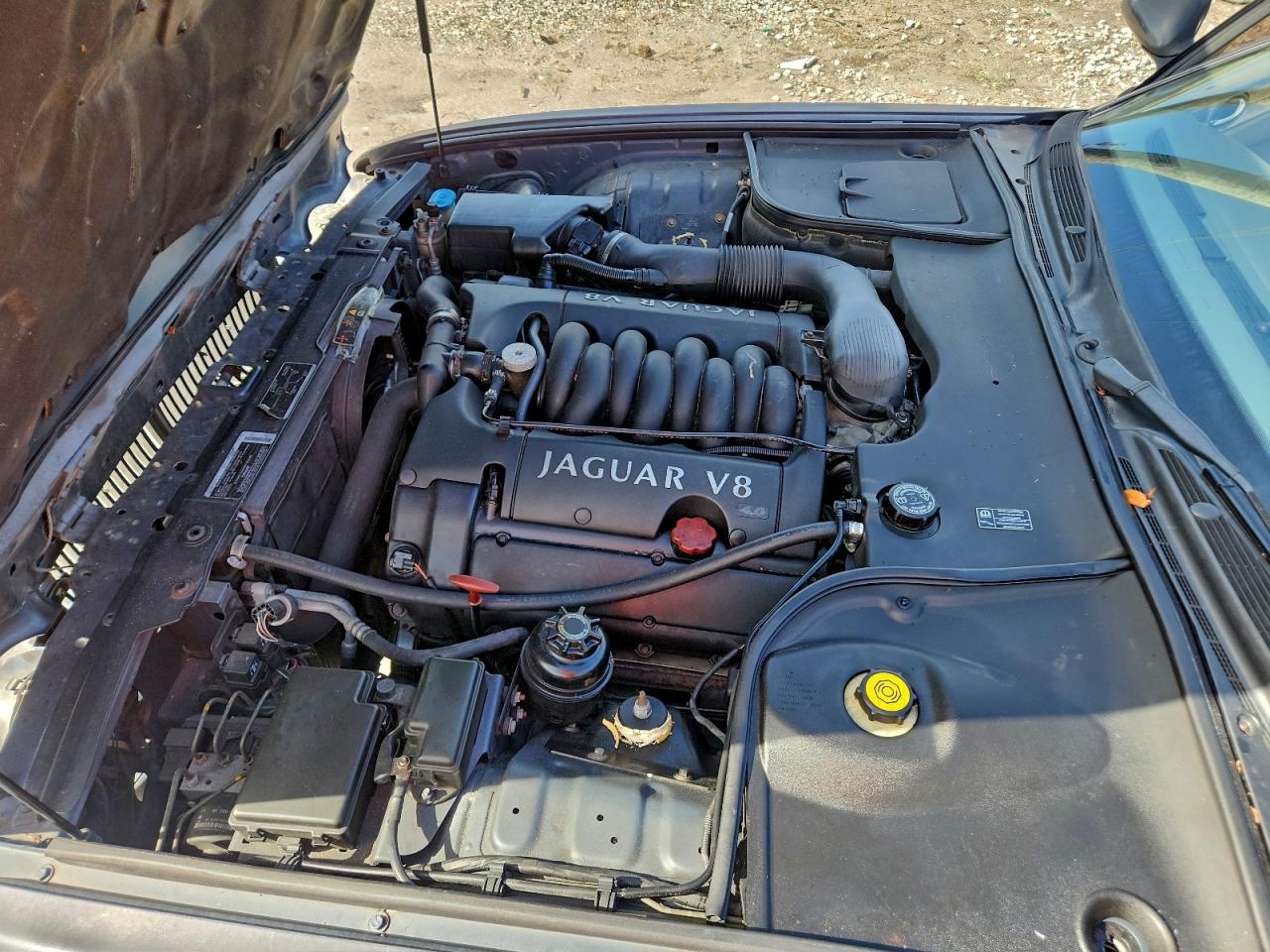 2001 Jaguar Xj8 Зеленый vin: SAJDA14C11LF30863