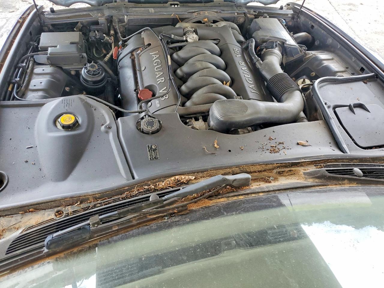 2000 Jaguar Xj8 Gray vin: SAJDA14C1YLF13765